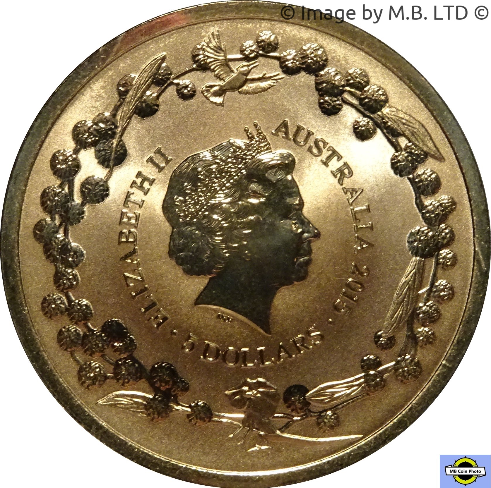 2015 5 Do BU in Coincard MS