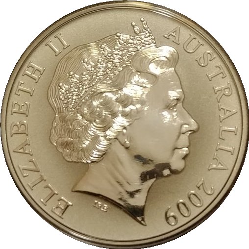 2009 1 Do BU - Reverse Frosted MS