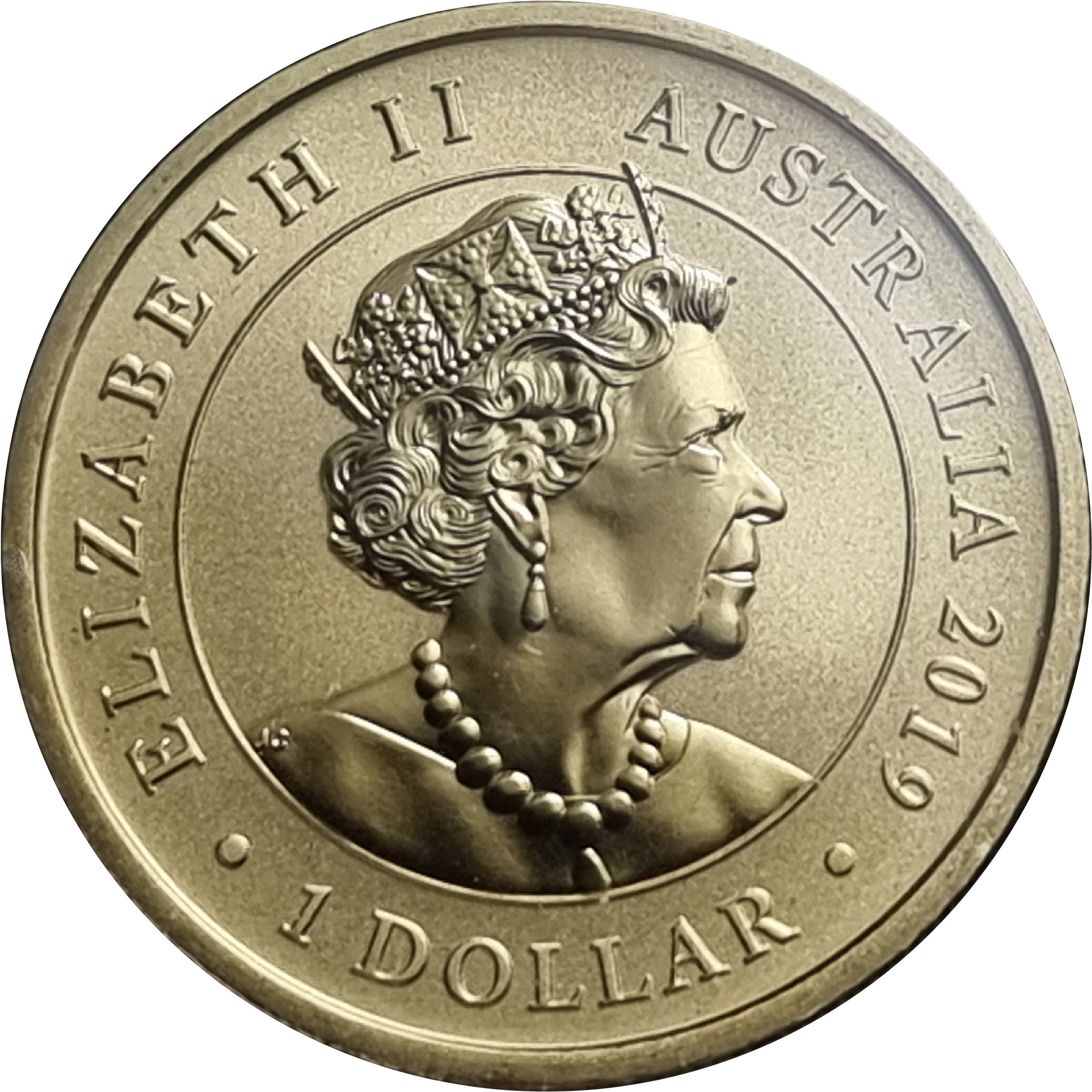 2019 P 1 Do BU in PNC MS