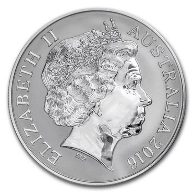 2016 1 Do BU Frosted MS