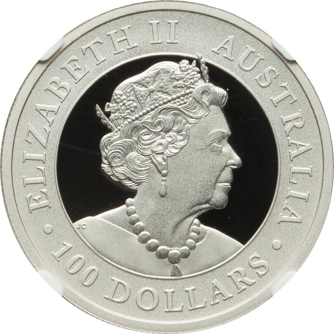 2020 P 100 Do Proof PR