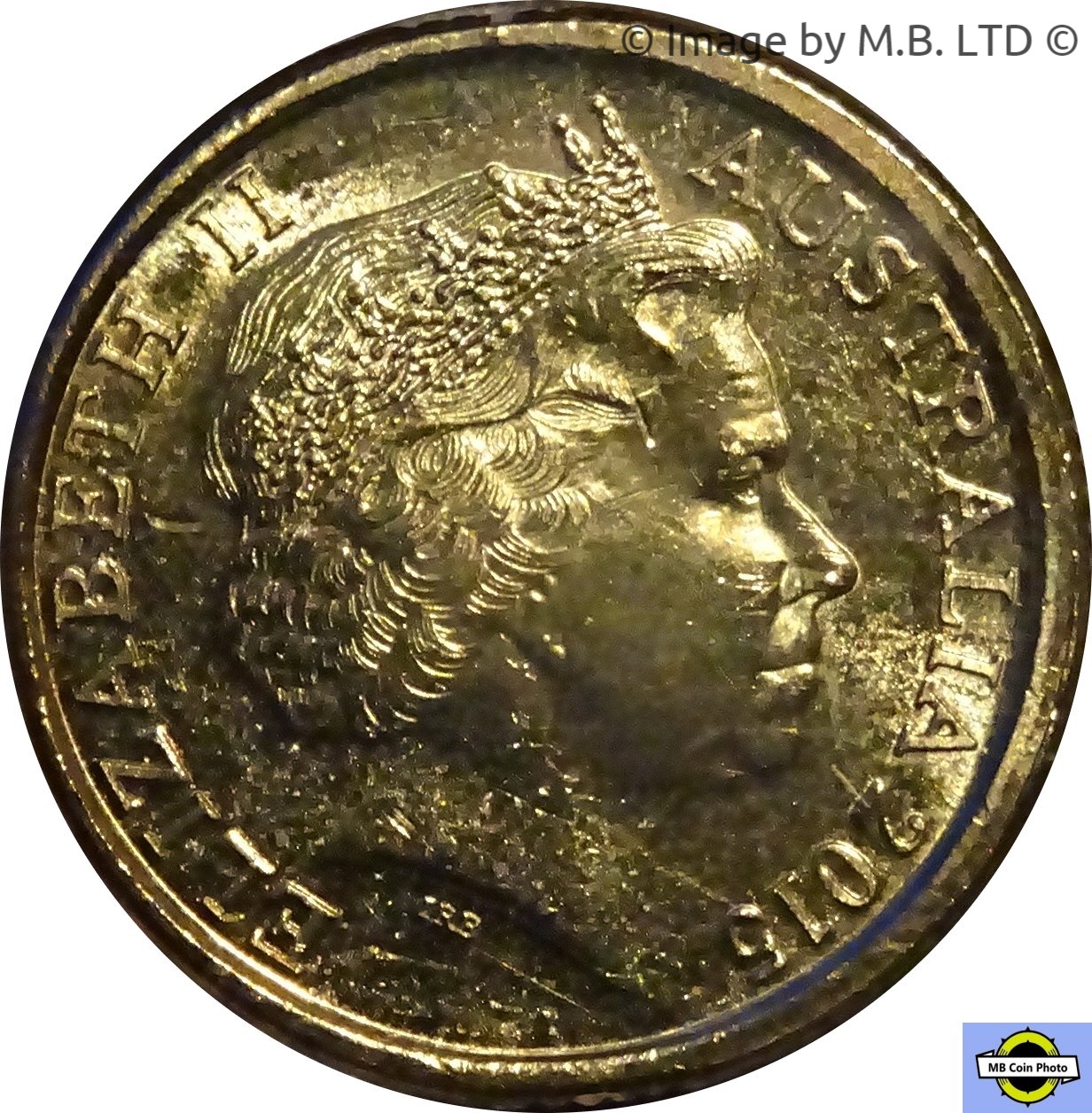 2015 2 Do Circulation MS