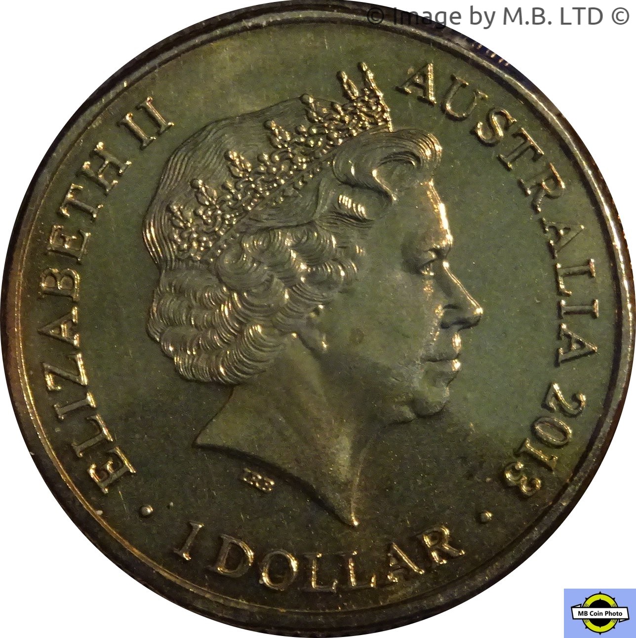 2013 1 Do BU in Coincard MS