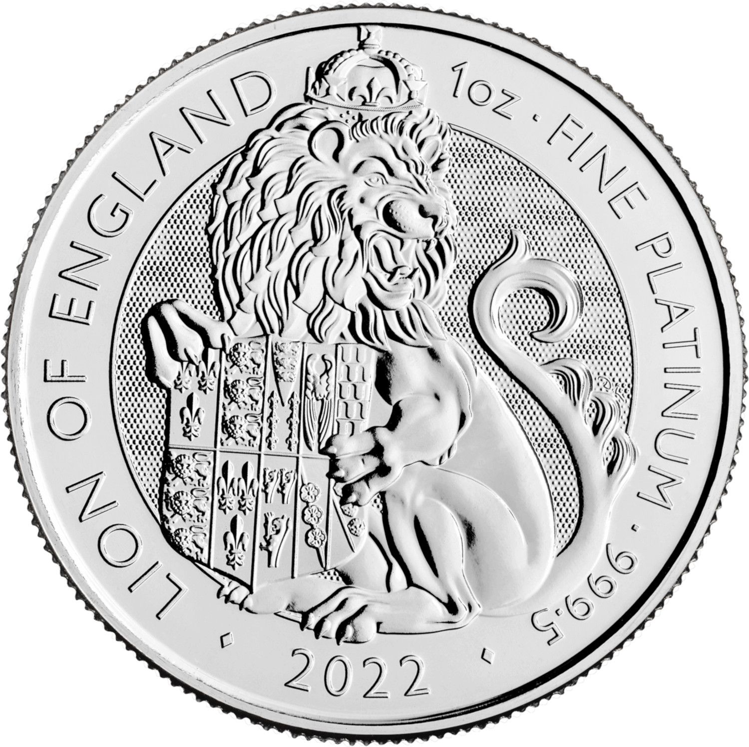 2022 £100 Platinum, Elizabeth II, Lion of England MS