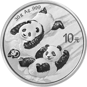 image for: China 2022 Panda 30 grams Silver BU Coin
