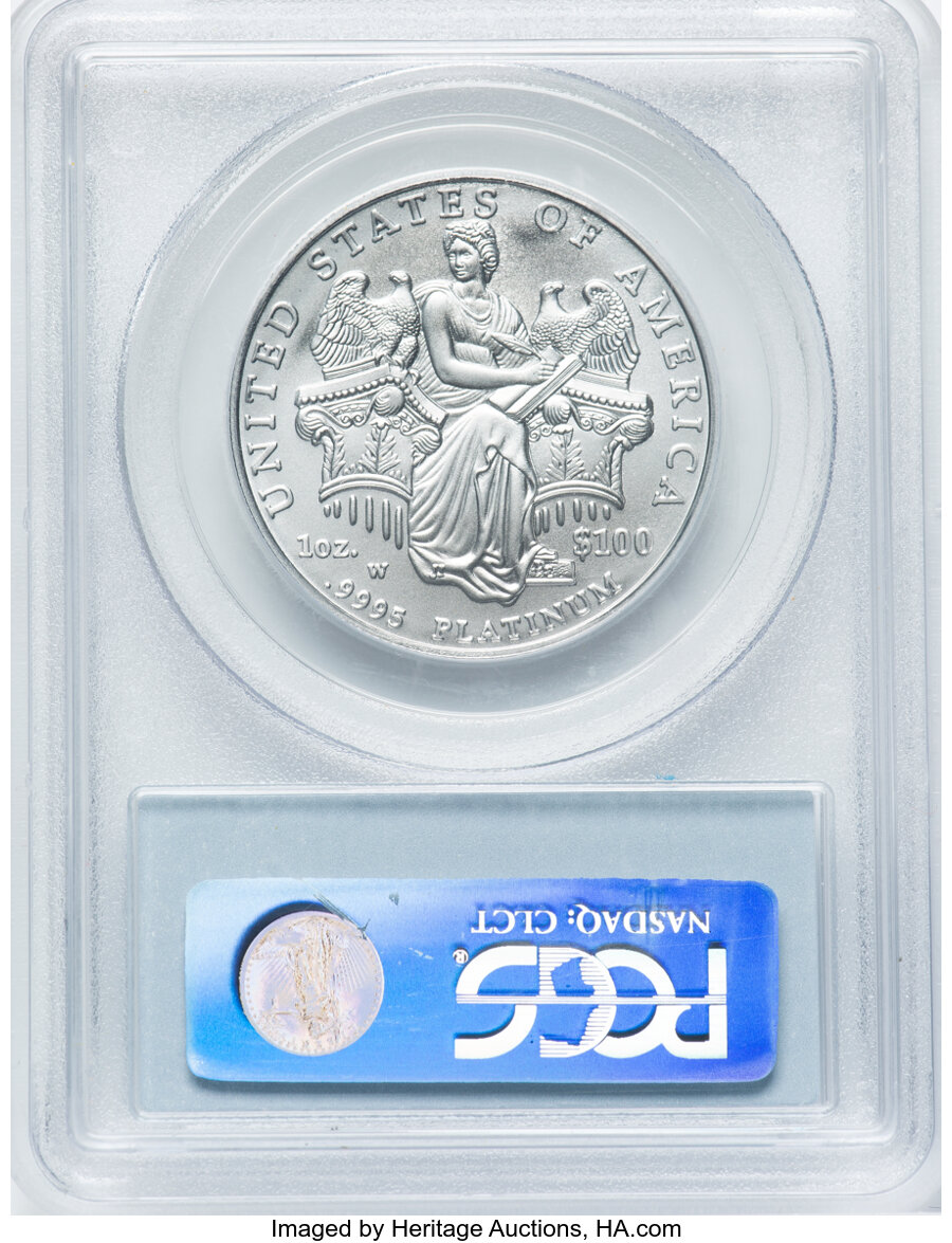 2006-W P$100  Platinum Eagle, Burnished MS70 thumbnail 14