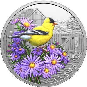 image for: 1 oz. Pure Silver Coin – Colourful Birds: American Goldfinch