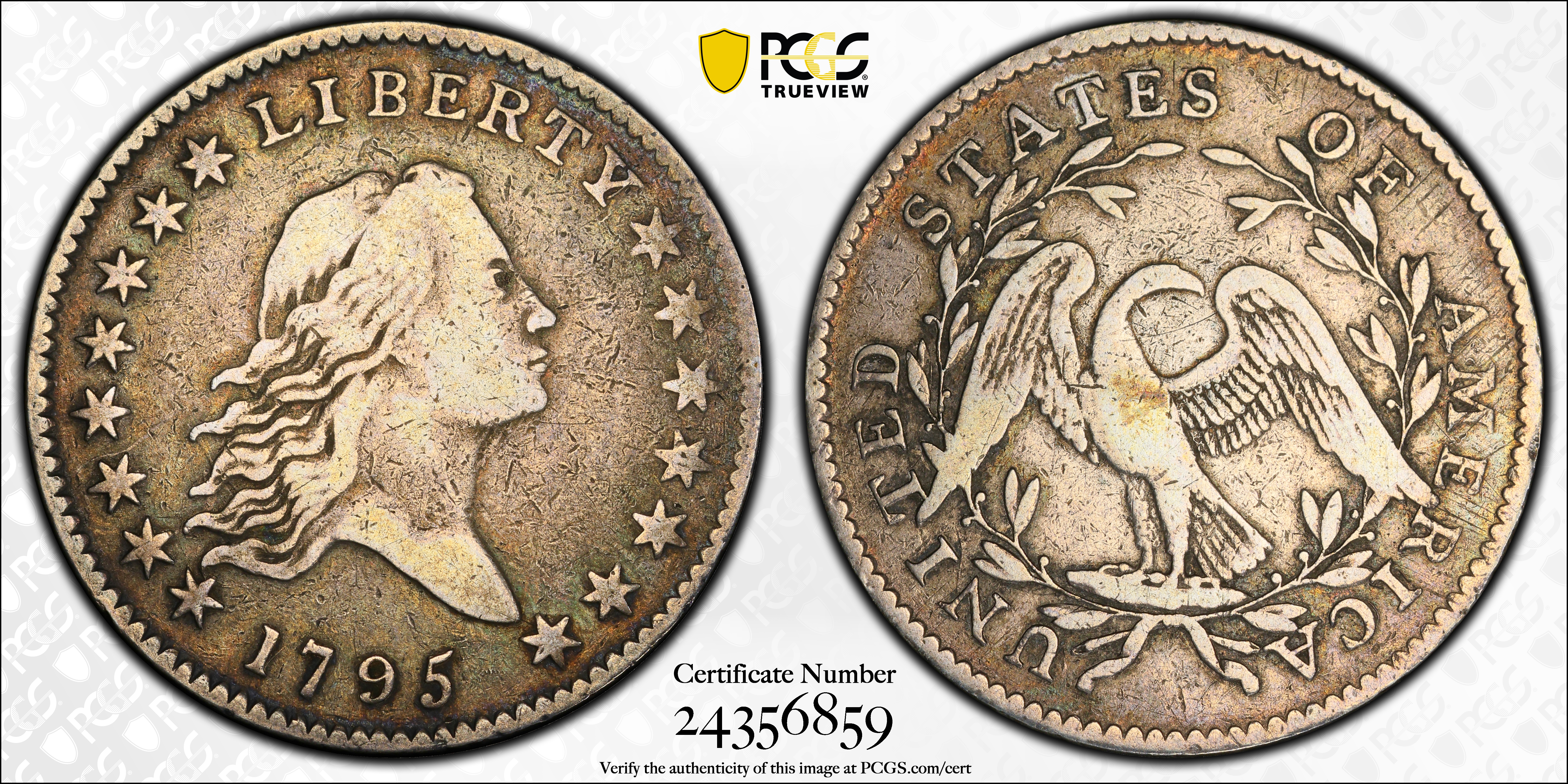 image for: 1795 Flowing Hair Half Dollar. O-117, T-3. Rarity-3. Two Leaves. VF-20 (PCGS).