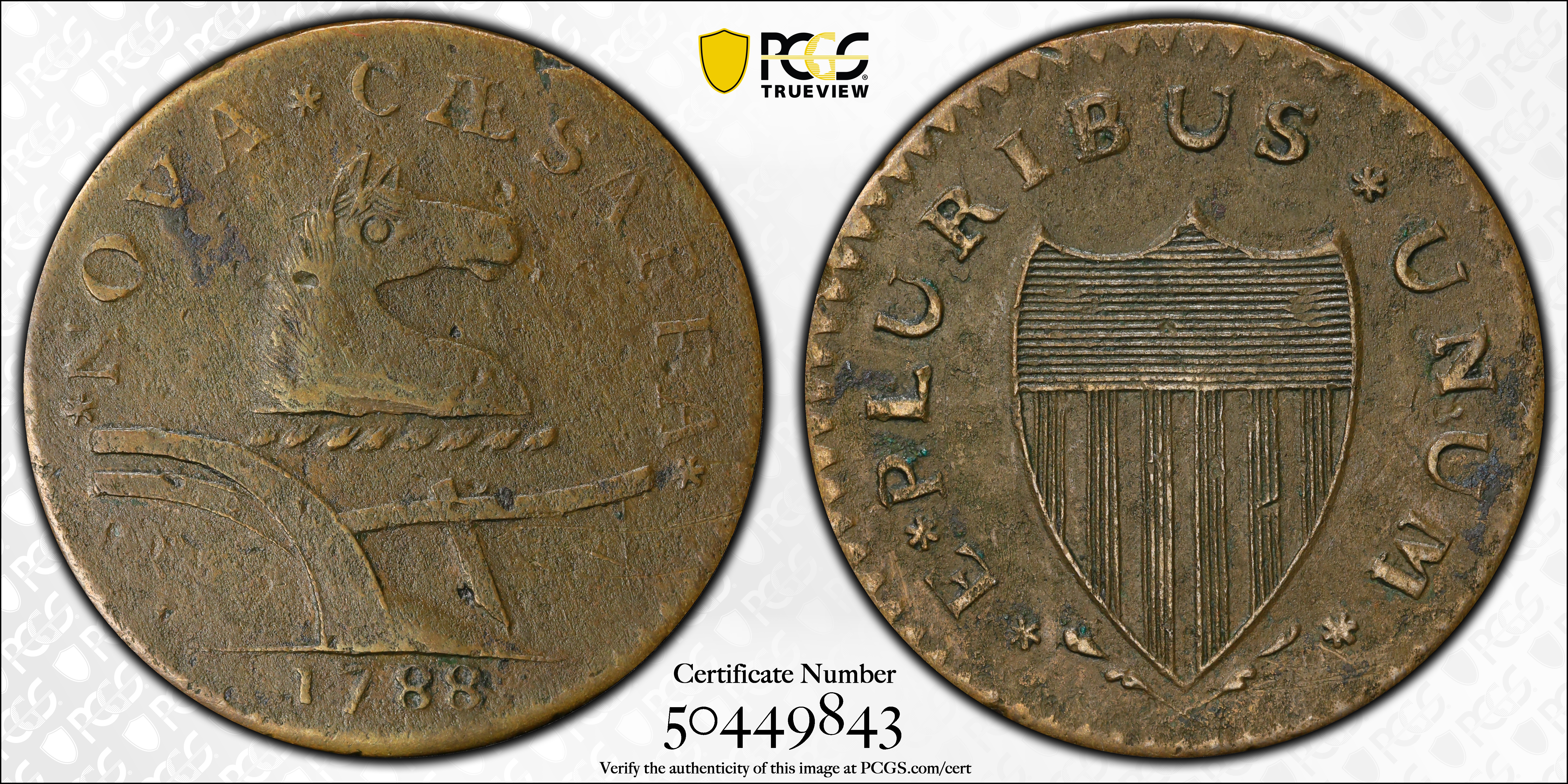 image for: 1788 New Jersey Copper. Maris 67-v, W-5510. Rarity-1. Head Right, Brushed Mane. AU Details--Environmental Damage (PCGS).