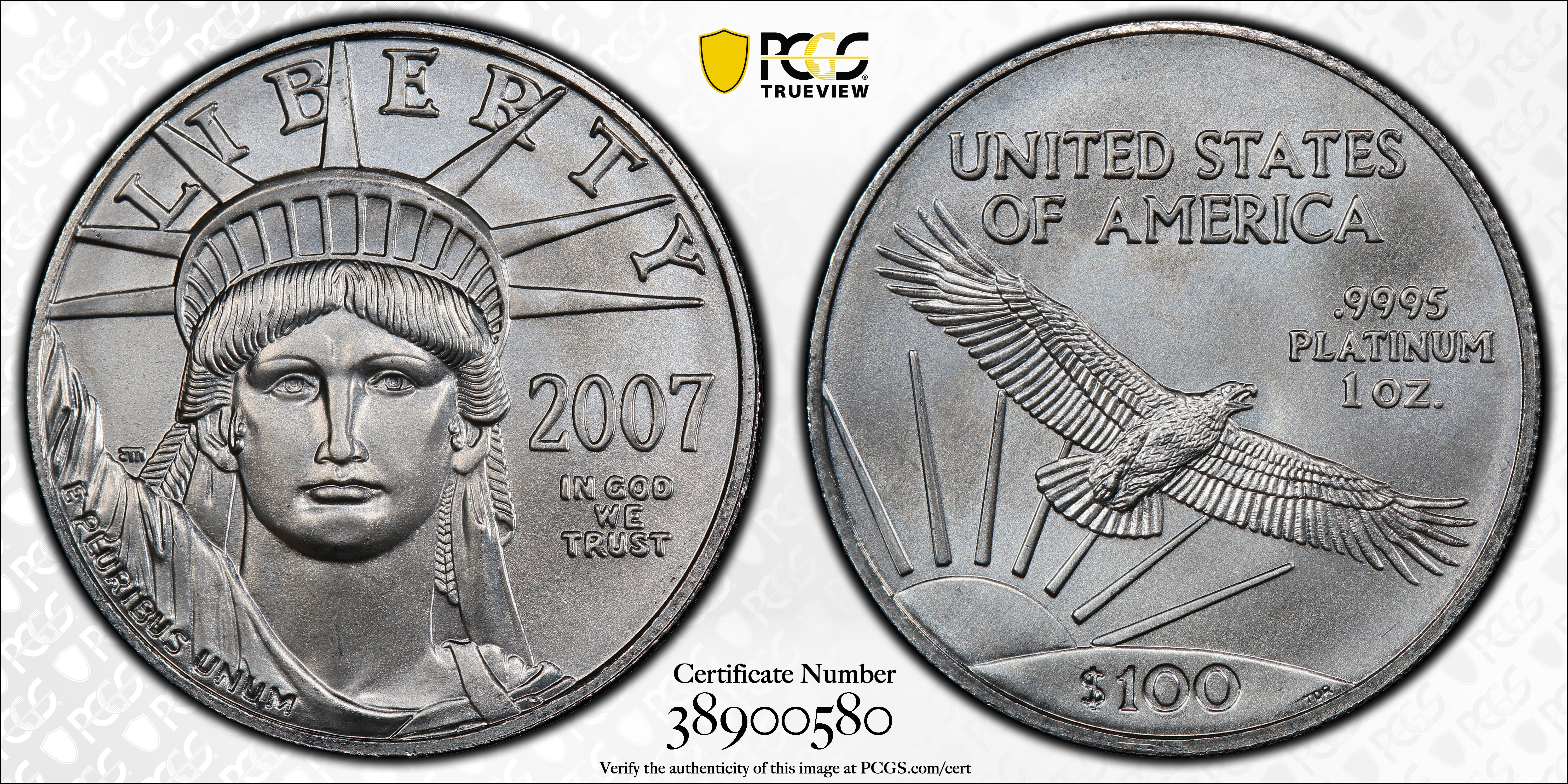 image for: 2007 One-Ounce Platinum Eagle. MS-69 (PCGS).
