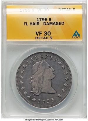 image for: 1795 $1 Flowing Hair, Three Leaves, B-5, BB-27, R.1 -- Damaged -- ANACS Details. VF30. Mintage 160,295....