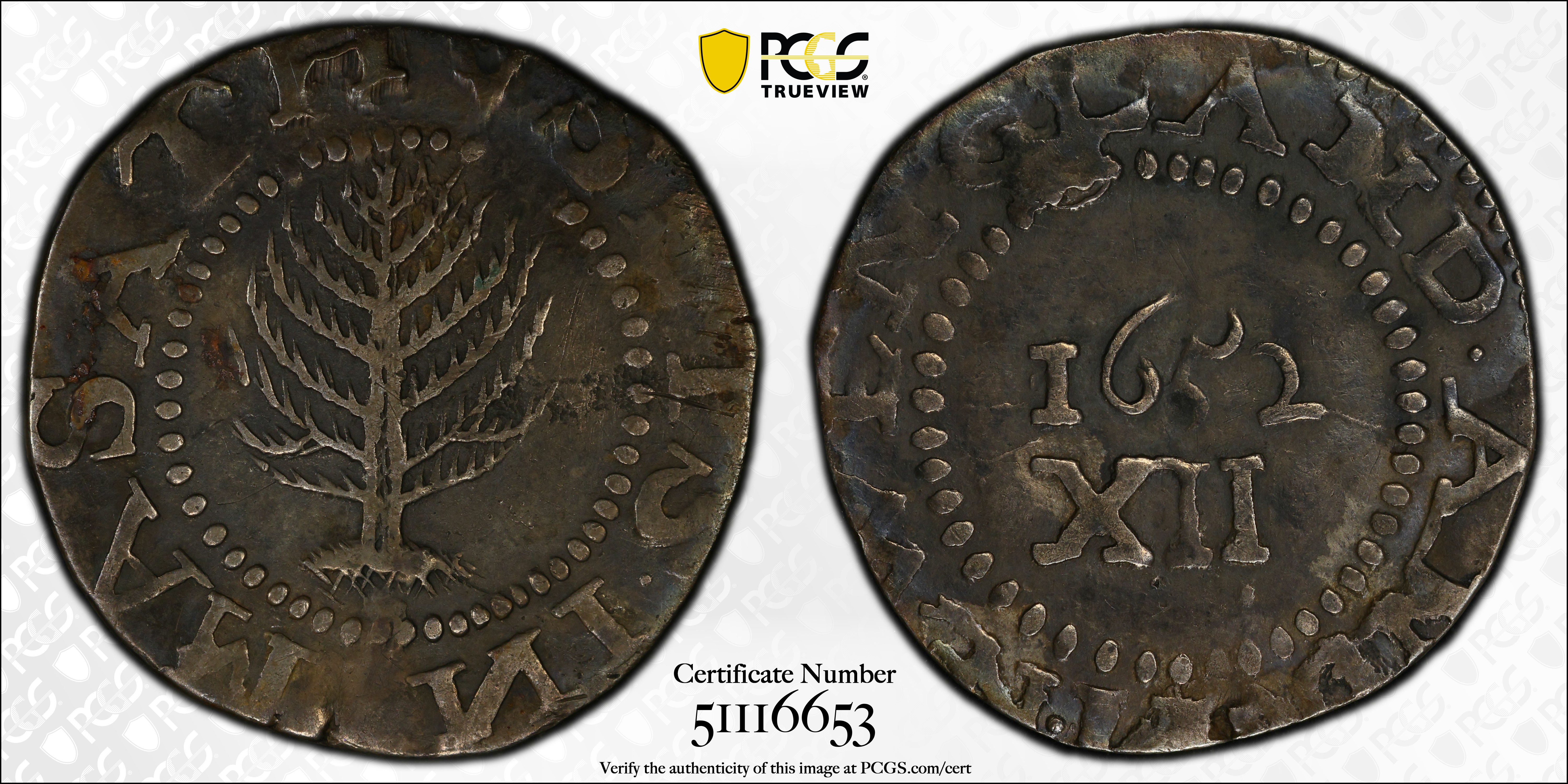 image for: 1652 Pine Tree Shilling. Large Planchet. Noe-8, Salmon 7-E, W-740. Rarity-4. Without Pellets at Trunk, Ligatured NE in Legend. VF Details--Excessively Clipped (PCGS).