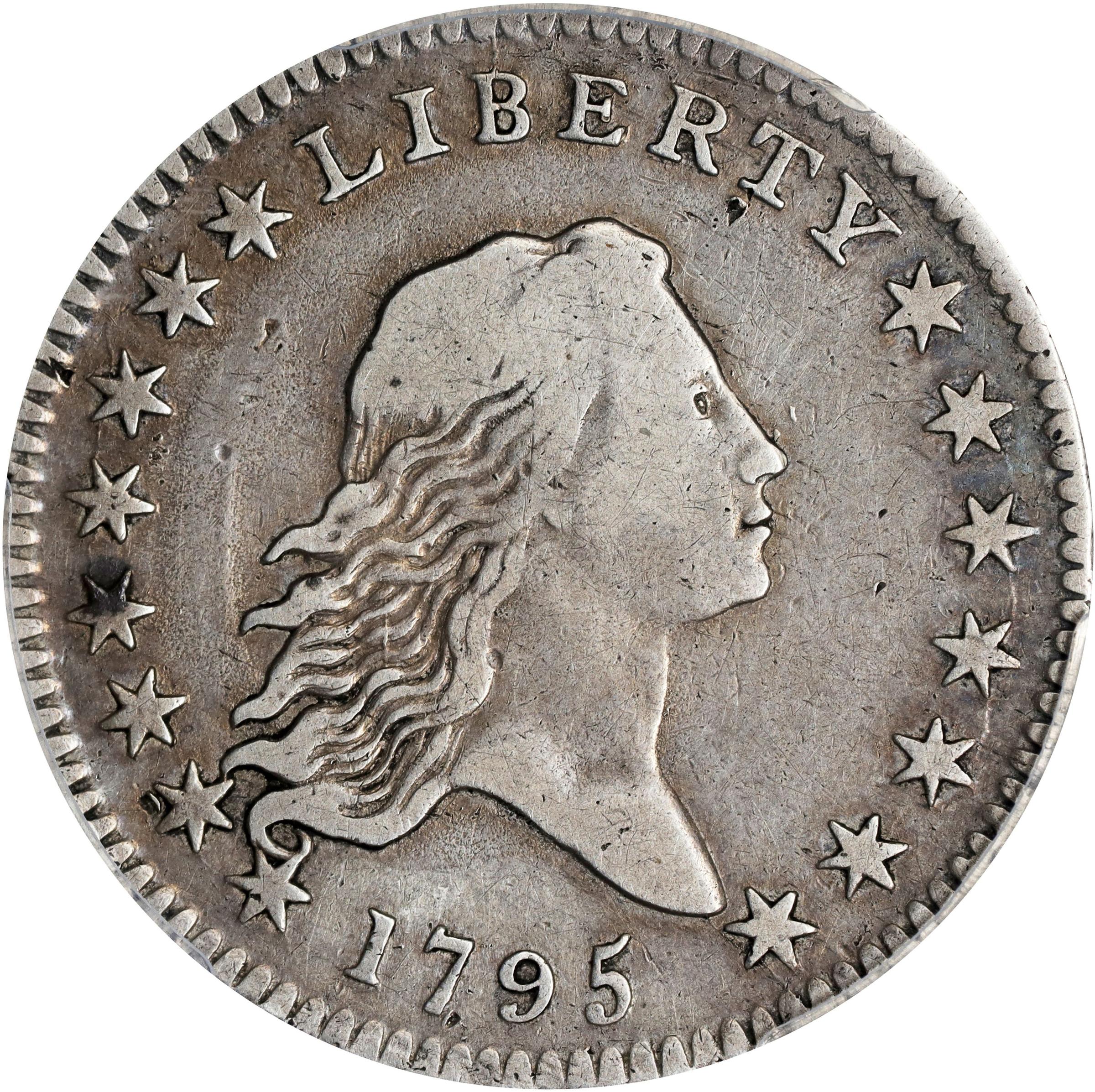 image for: 1795 Flowing Hair Half Dollar. O-105a, T-25. Rarity-4-. Two Leaves. Fine Details--Filed Rims (PCGS).