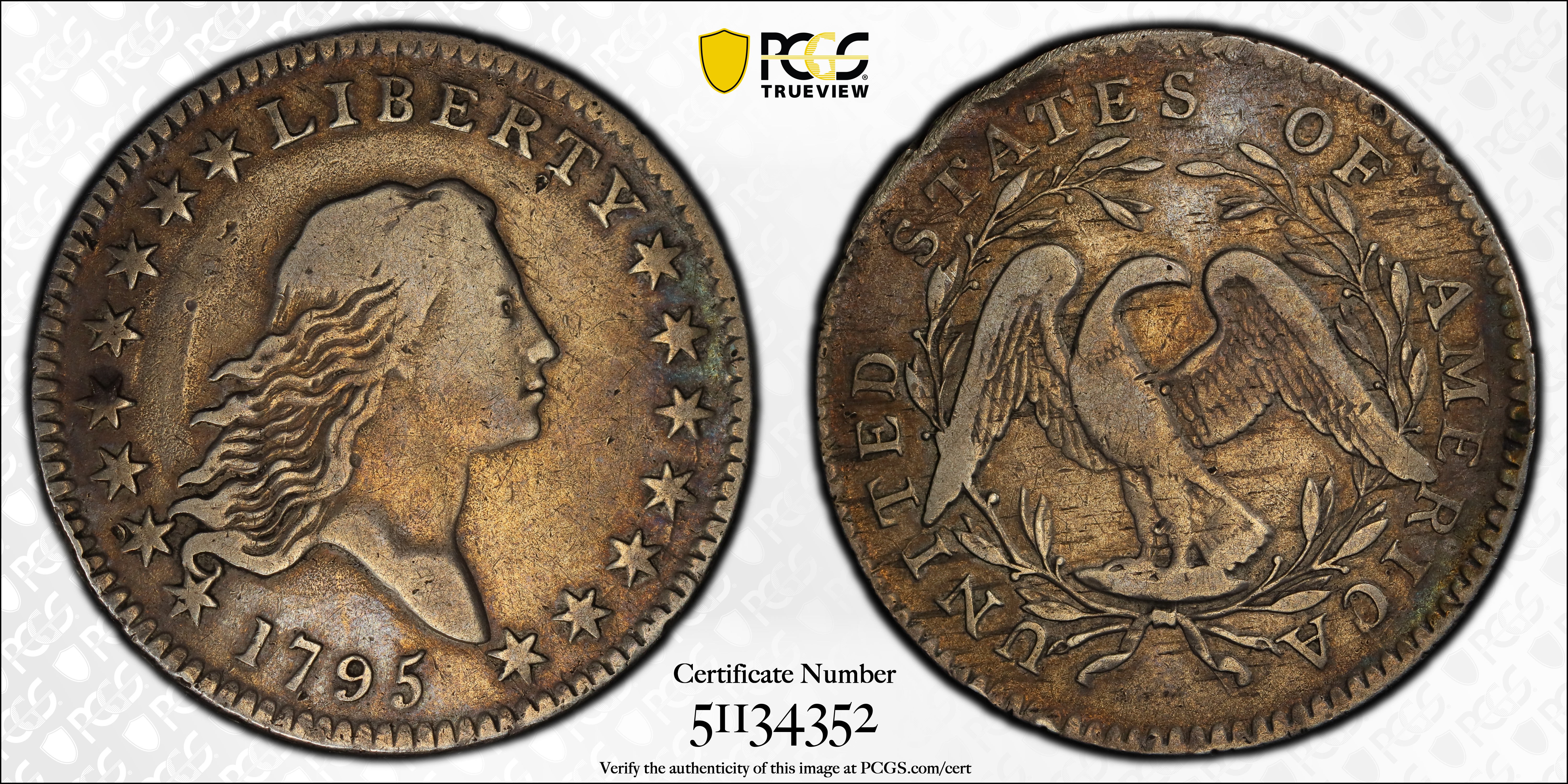 image for: 1795 Flowing Hair Half Dollar. O-105a, T-25. Rarity-4-. Two Leaves. Fine Details--Filed Rims (PCGS).
