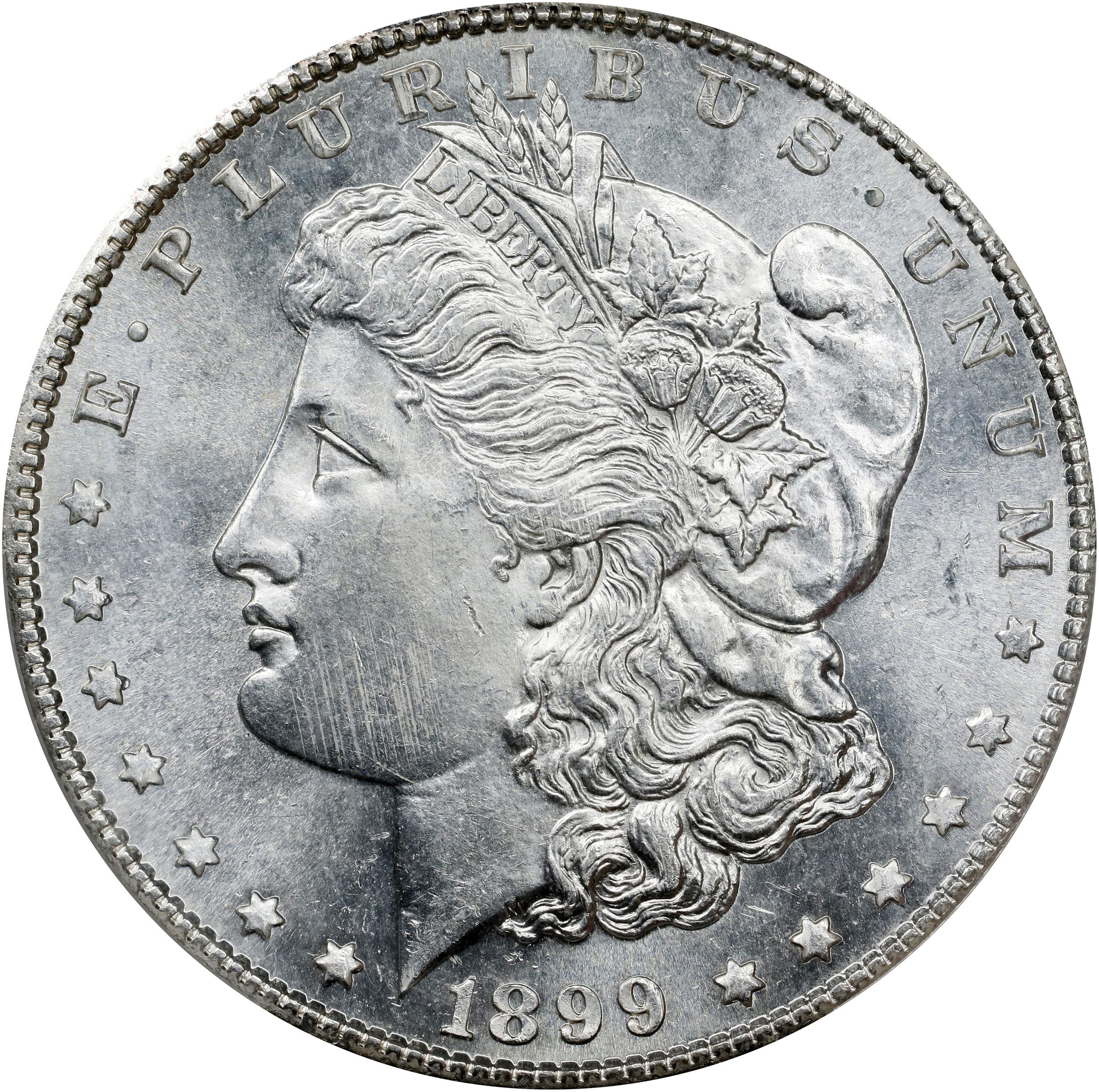 1899-S $1 MS