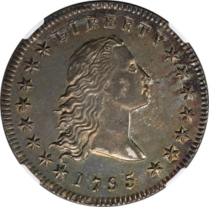 image for: 1795 $1 Flowing Hair, Two Leaves, B-1, BB-21, R.2, AU58 NGC....