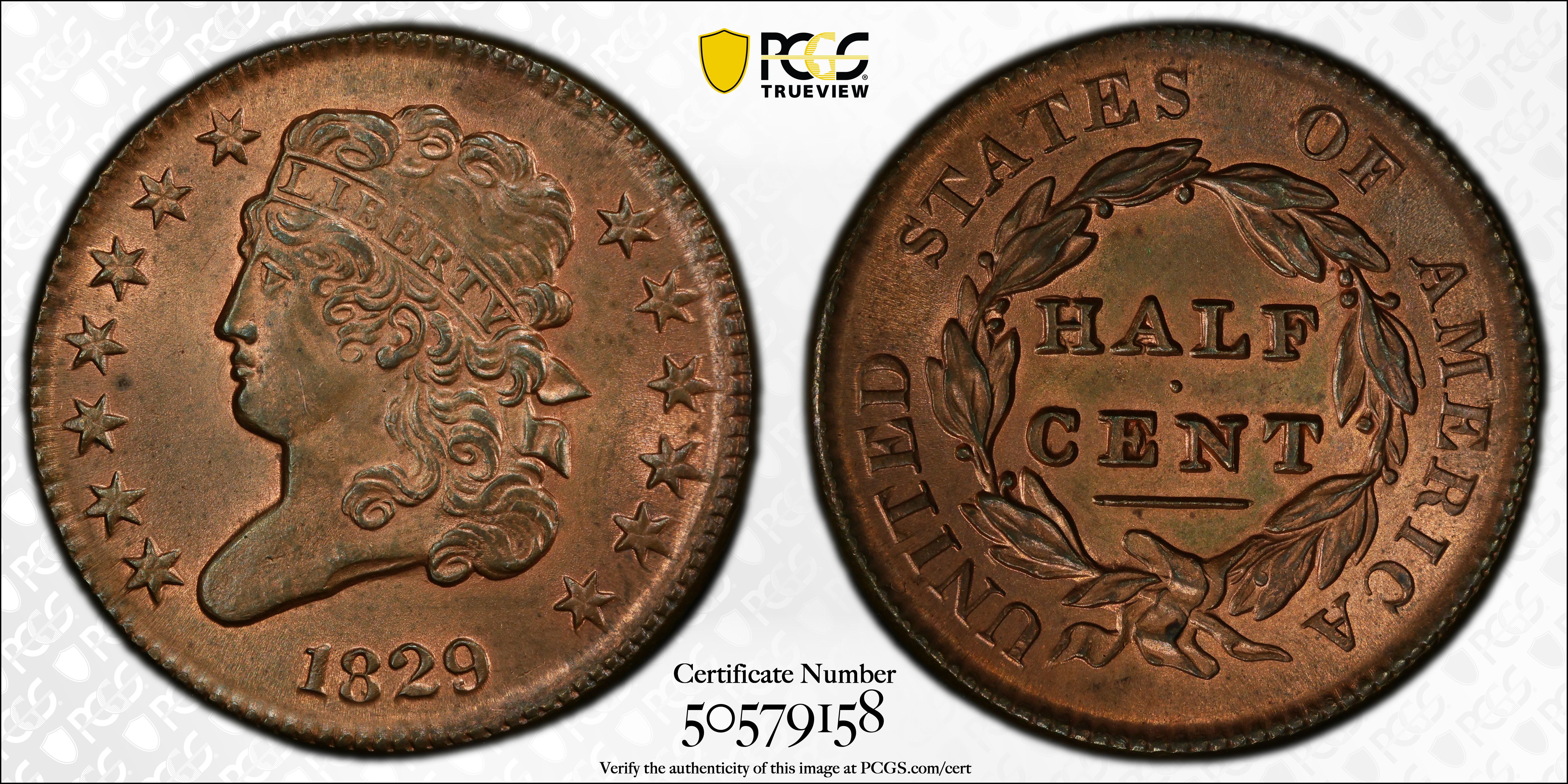 image for: 1829 Classic Head Half Cent. C-1. Rarity-1. Unc Details--Questionable Color (PCGS).