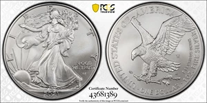 image for: 2021-W Silver Eagle. Type II, Eagle Landing. Burnished. Specimen-70 (PCGS).
