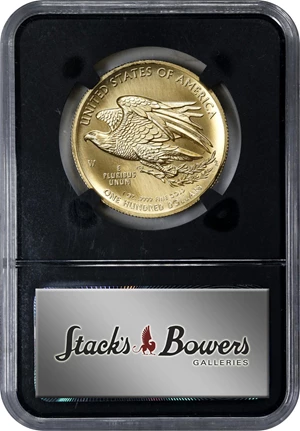 image for: 2015-W American Liberty High Relief $100 Gold Coin. First Releases. MS-70 (NGC). Retro Black Holder.