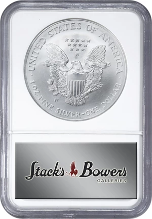 image for: 2008-W Silver Eagle. Reverse of 2007. MS-70 (NGC).
