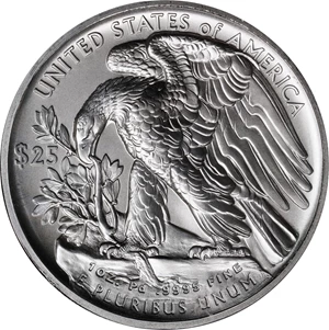 image for: 2017 Palladium Eagle. MS-70 (ANACS).