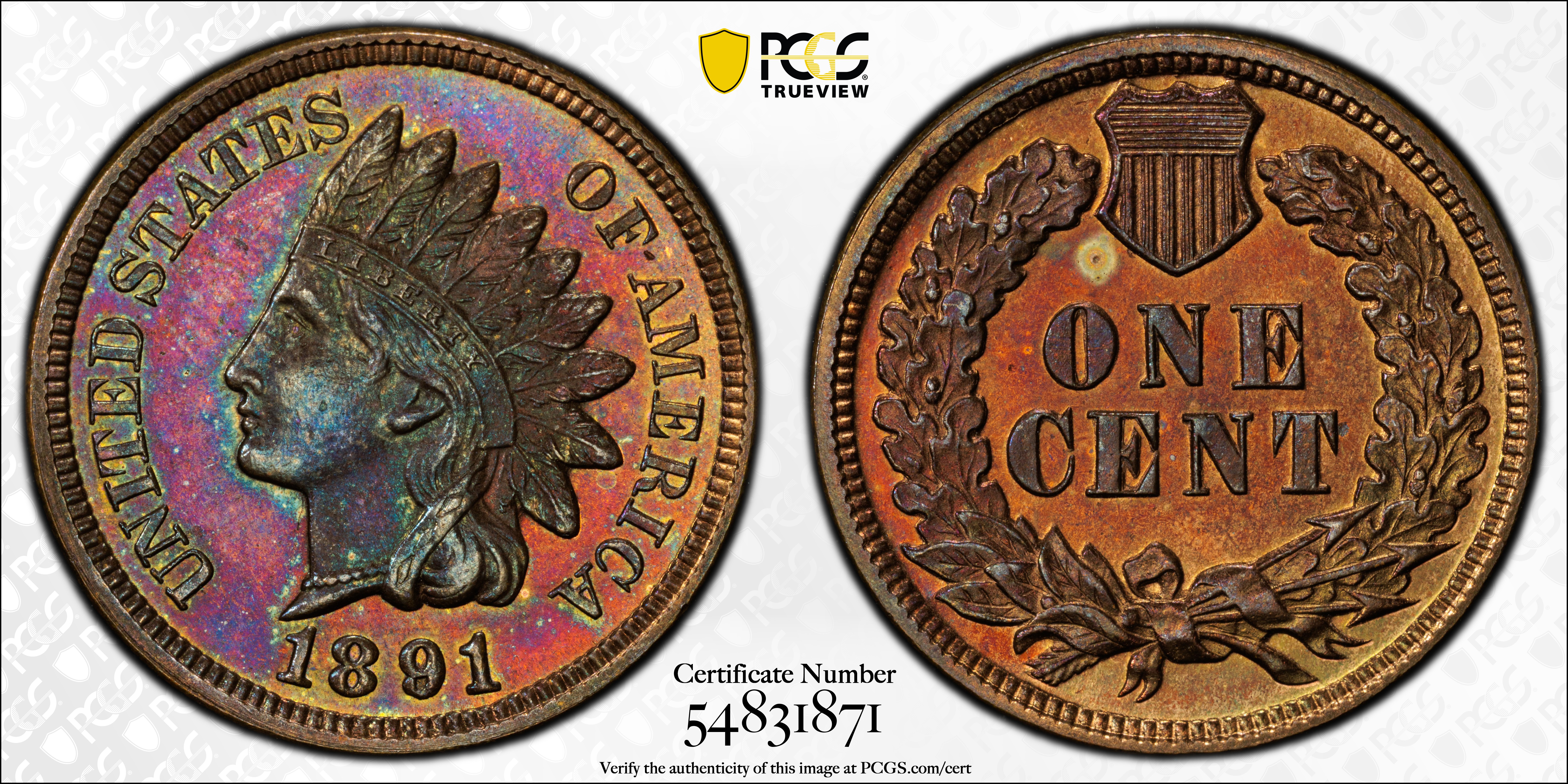 image for: 1891 Indian Cent. Proof-65 BN (PCGS).