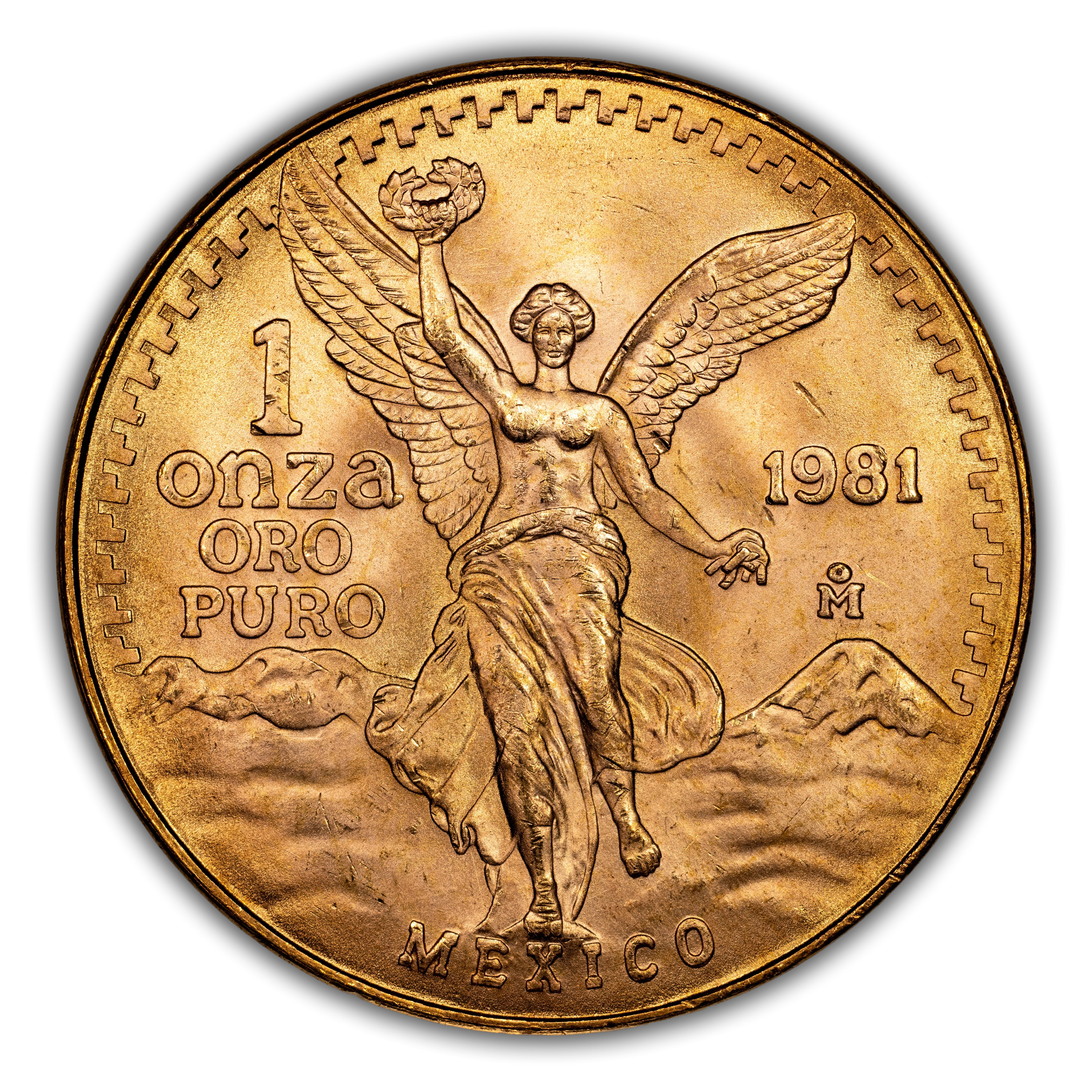 Mexico 1993 Gold 1 Onza Libertad Coin Values & Prices | Greysheet
