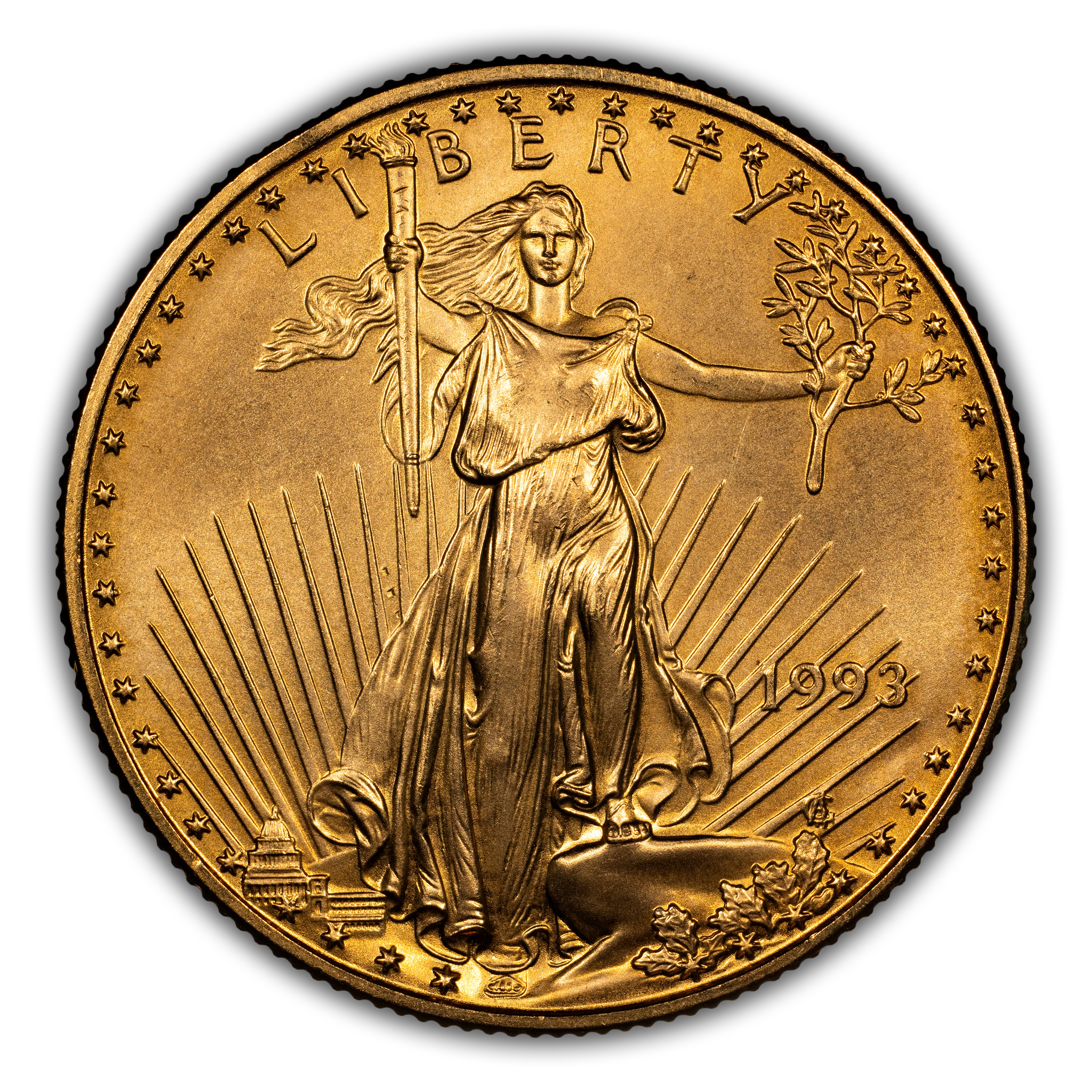 1993 $25 Gold Eagle MS