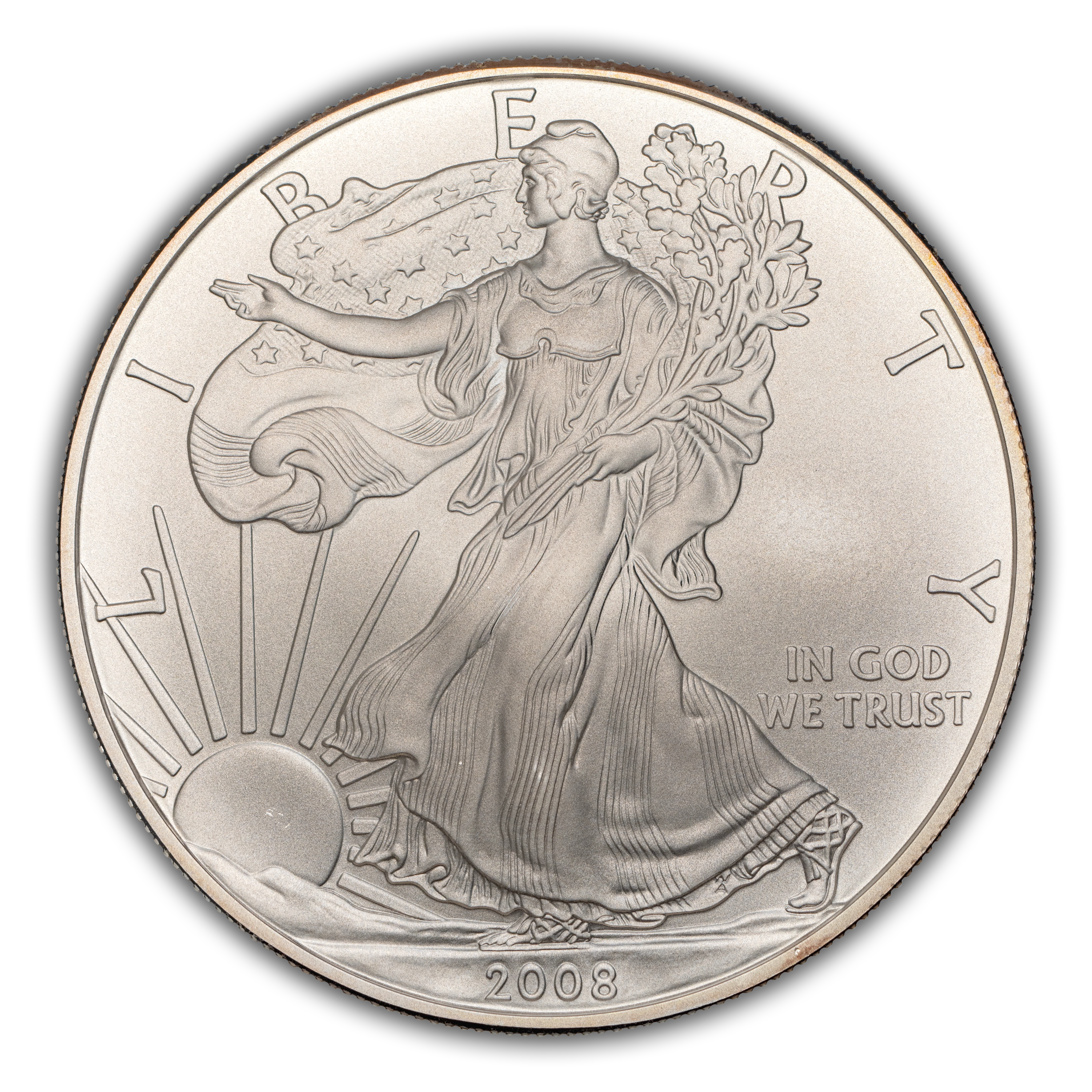 2008-W $1 Silver Eagle, Burnished MS