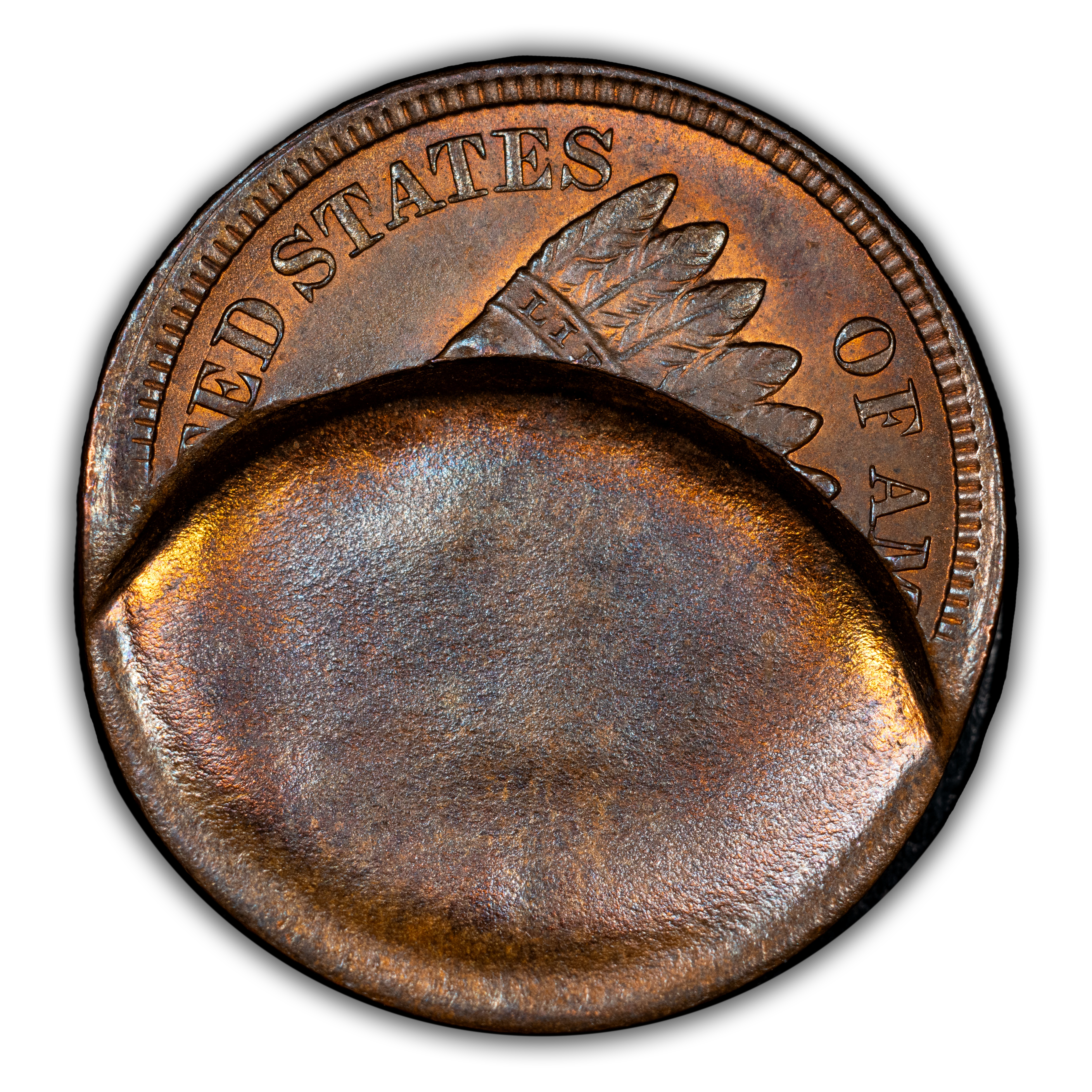 Indian Head Cent 1c Bronze, 1864-1909 MS RB [Type]