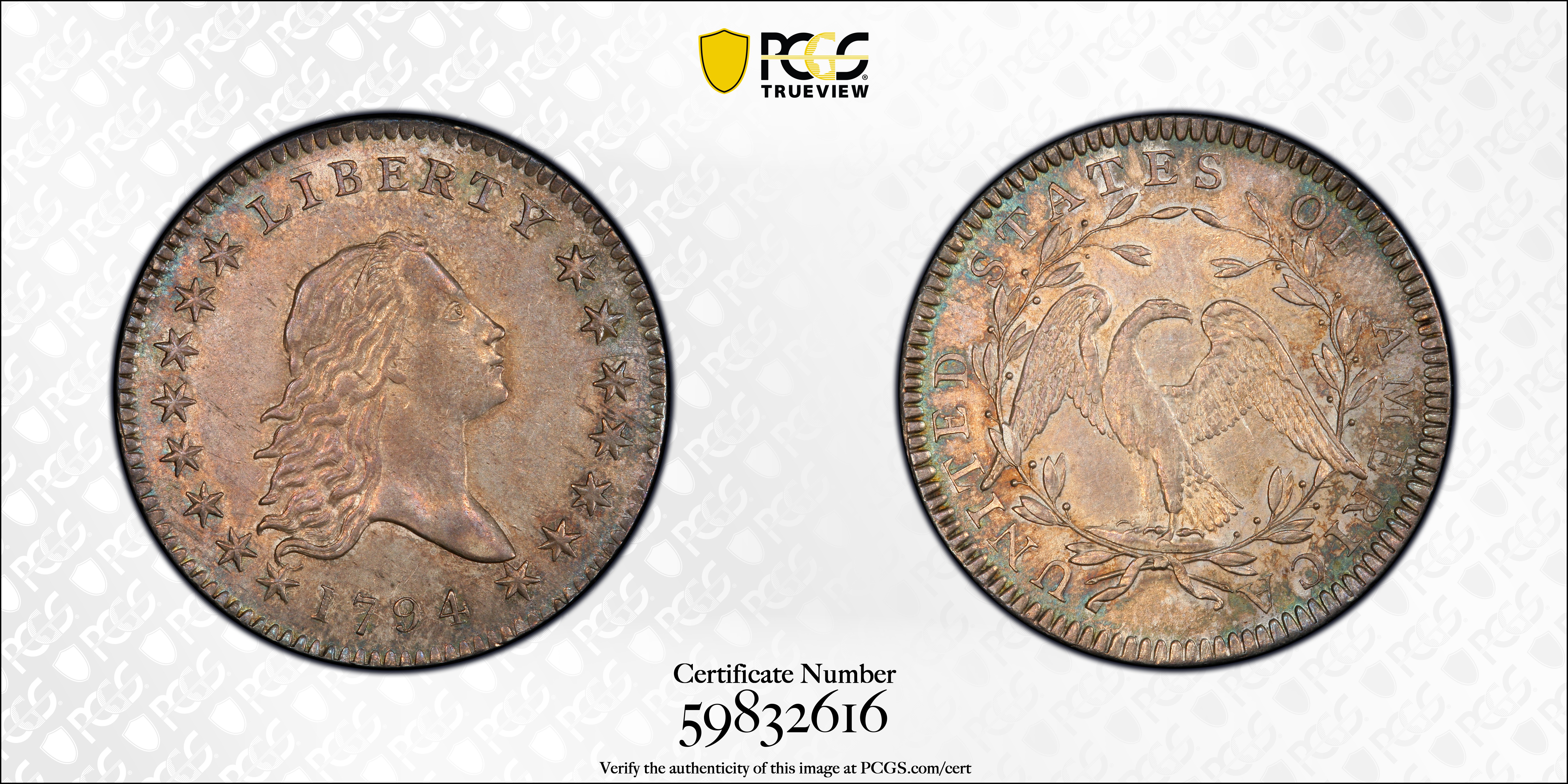 image for: 1794 Flowing Hair Half Dollar. O-101, T-7. Rarity-3. MS-61 (PCGS).