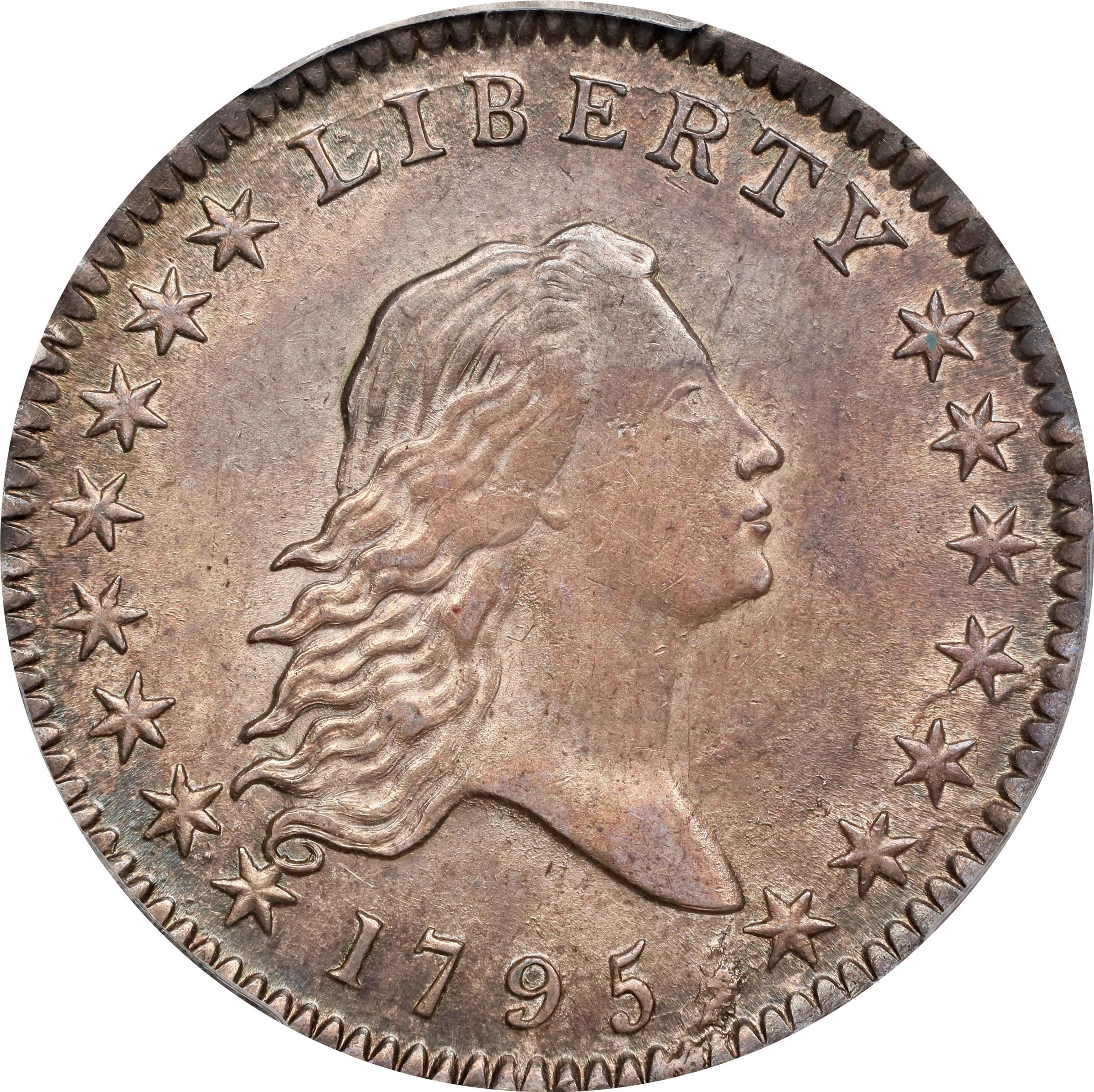 image for: 1795 Flowing Hair Half Dollar. O-113a, T-14. Rarity-3. Two Leaves, A/E in STATES. MS-62 (PCGS).