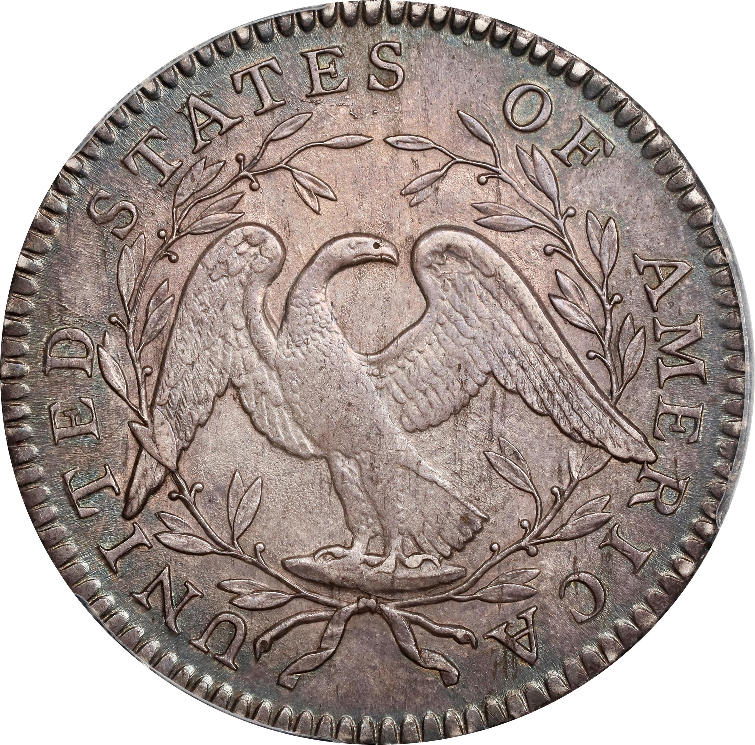 image for: 1795 Flowing Hair Half Dollar. O-113a, T-14. Rarity-3. Two Leaves, A/E in STATES. MS-62 (PCGS).
