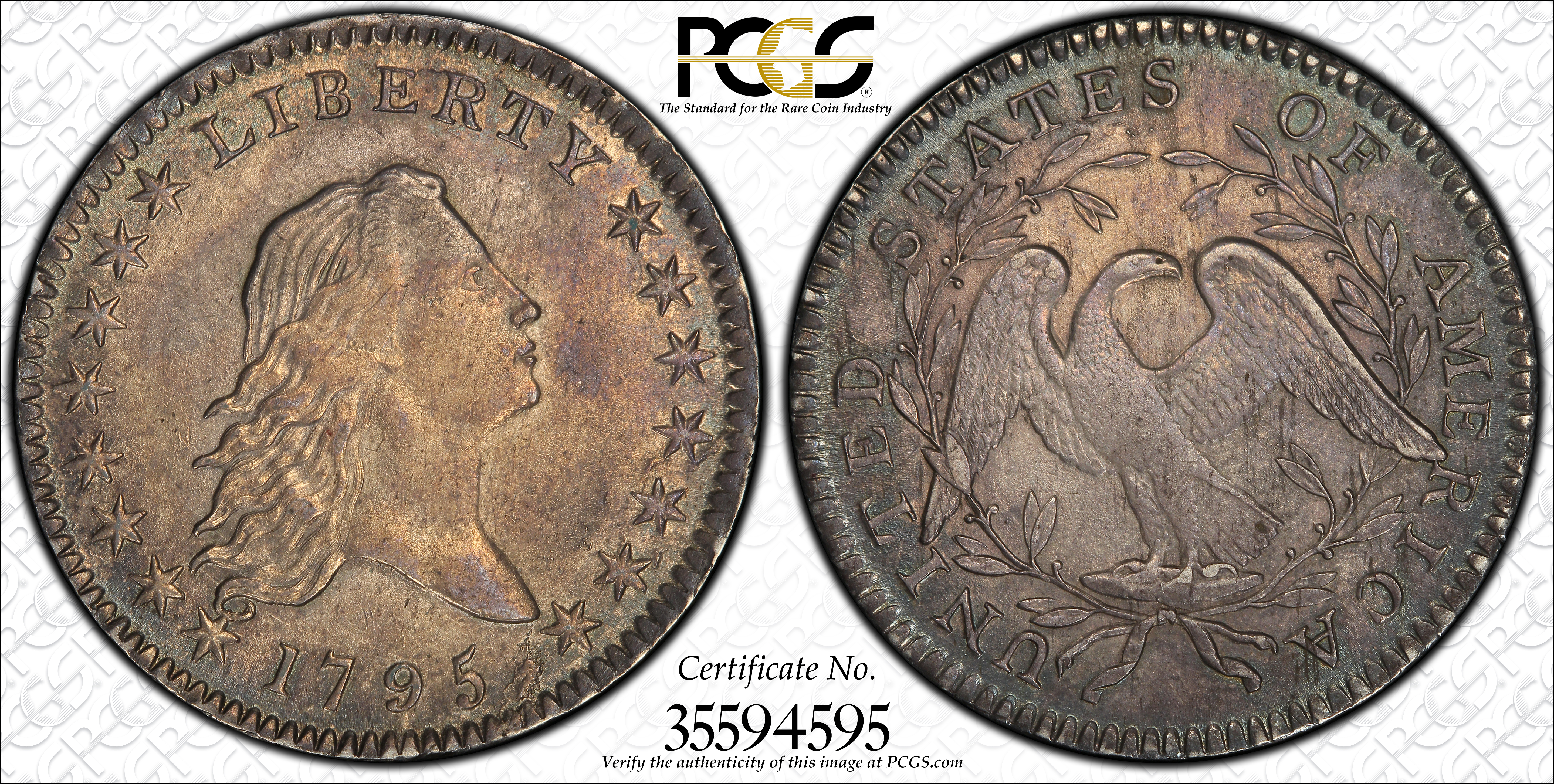 image for: 1795 Flowing Hair Half Dollar. O-113a, T-14. Rarity-3. Two Leaves, A/E in STATES. MS-62 (PCGS).
