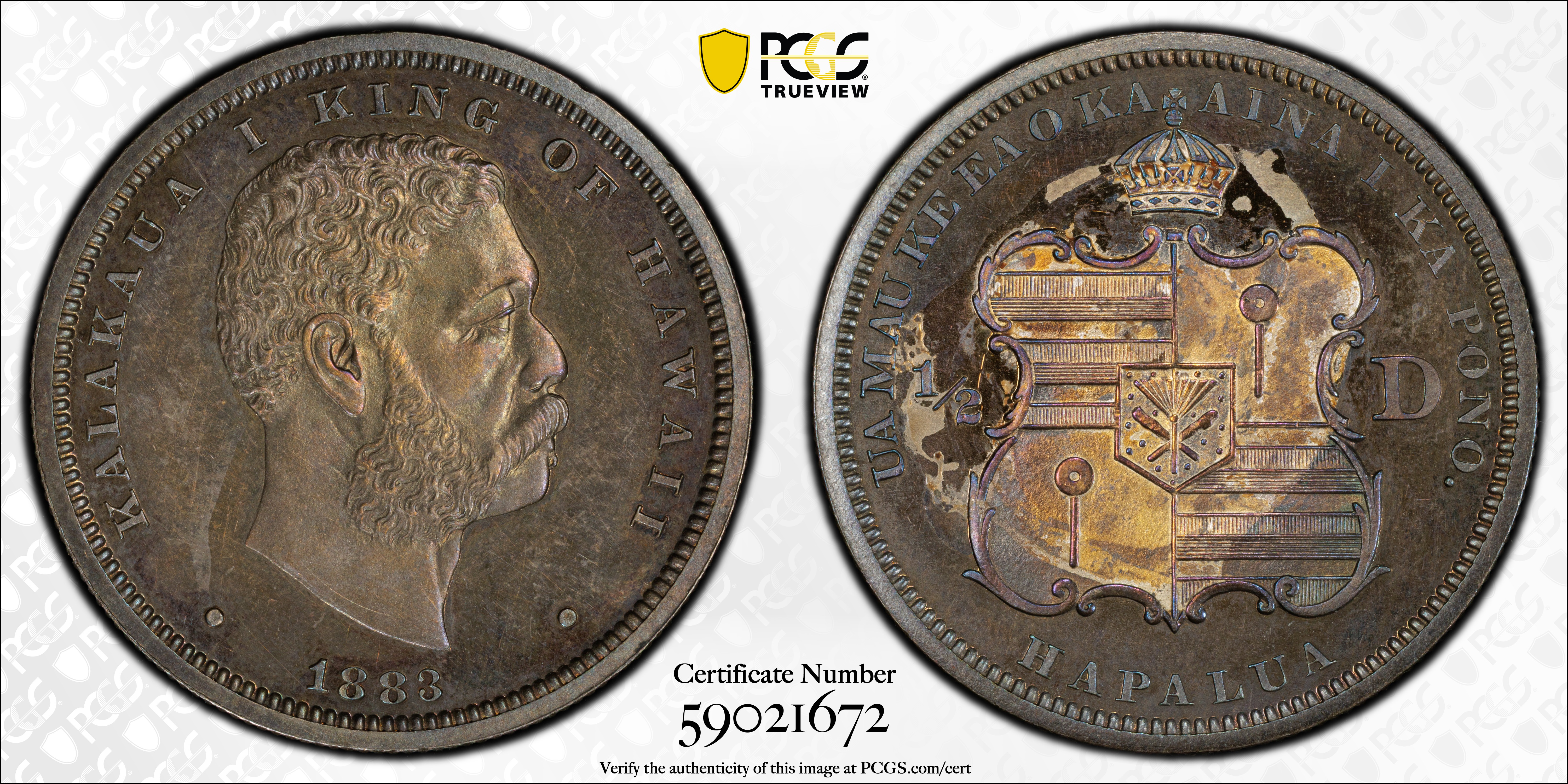 image for: 1883 Hawaii Half Dollar. Medcalf-Russell 2CS-4. Proof-63 (PCGS).