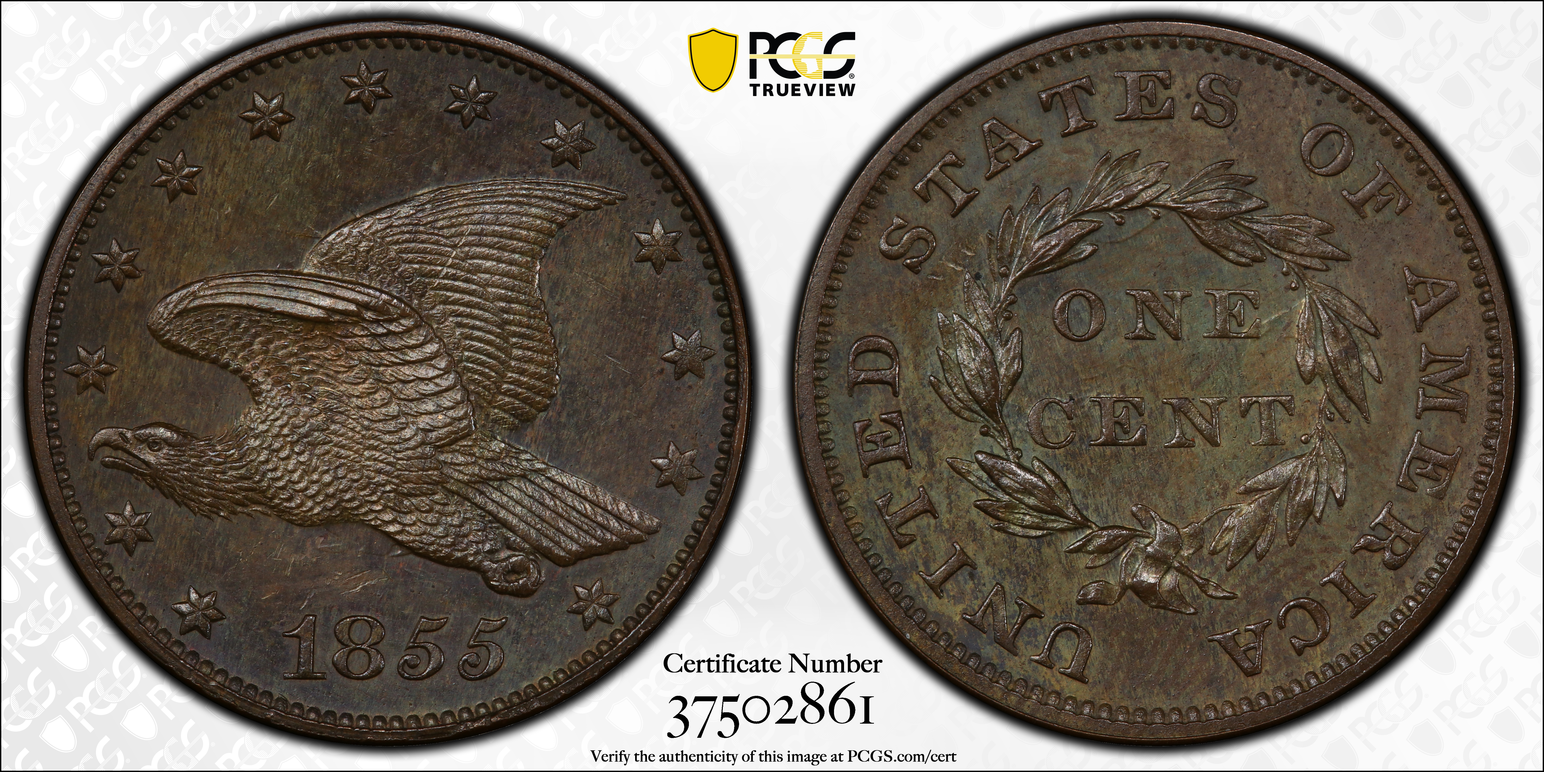 image for: 1855 Pattern Flying Eagle Cent. Judd-168 Original, Pollock-193. Rarity-4. Bronze. Plain Edge. Proof-63 BN (PCGS).