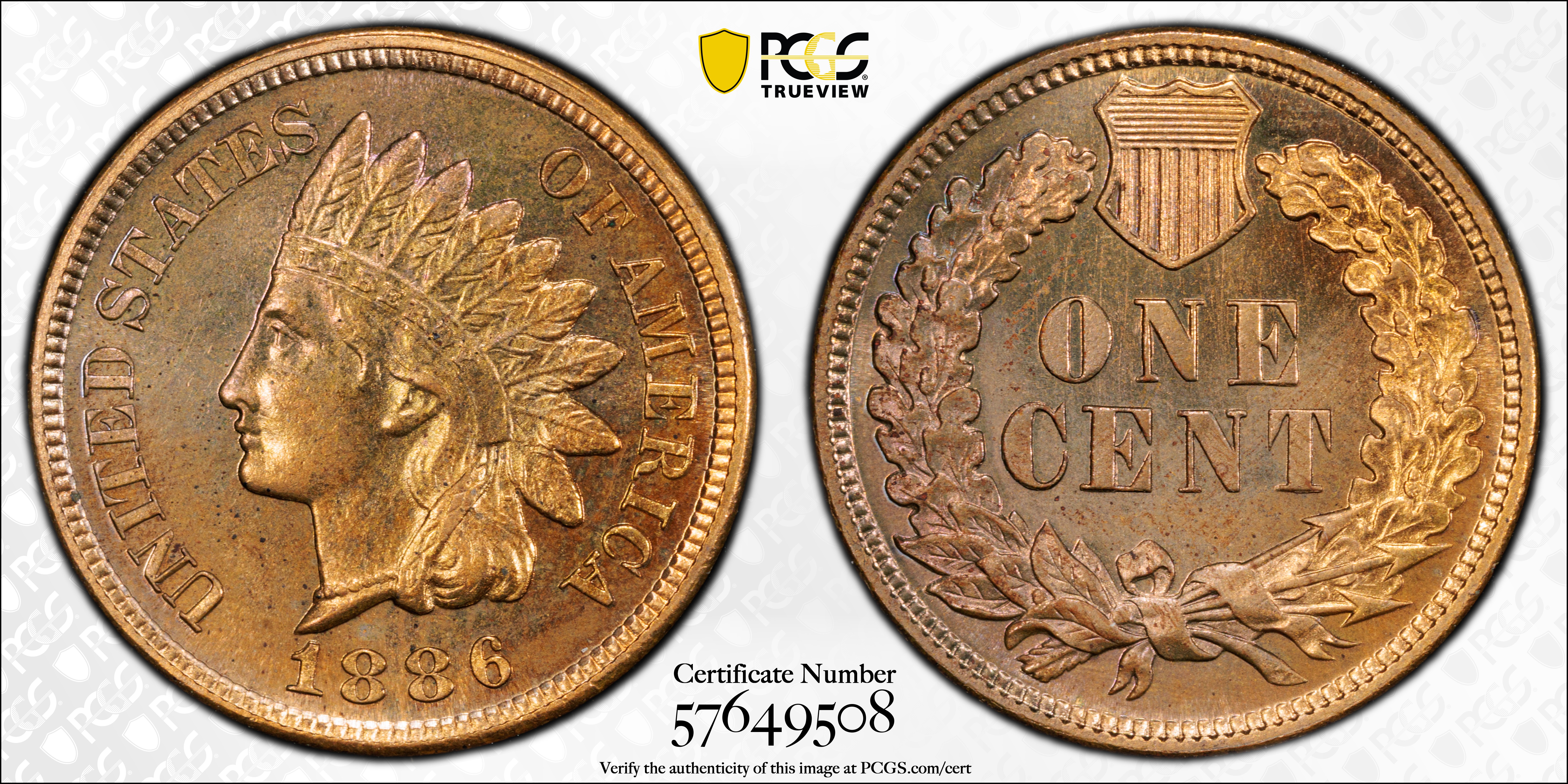 image for: 1886 Indian Cent. Type II Obverse. Proof-65 RB (PCGS).