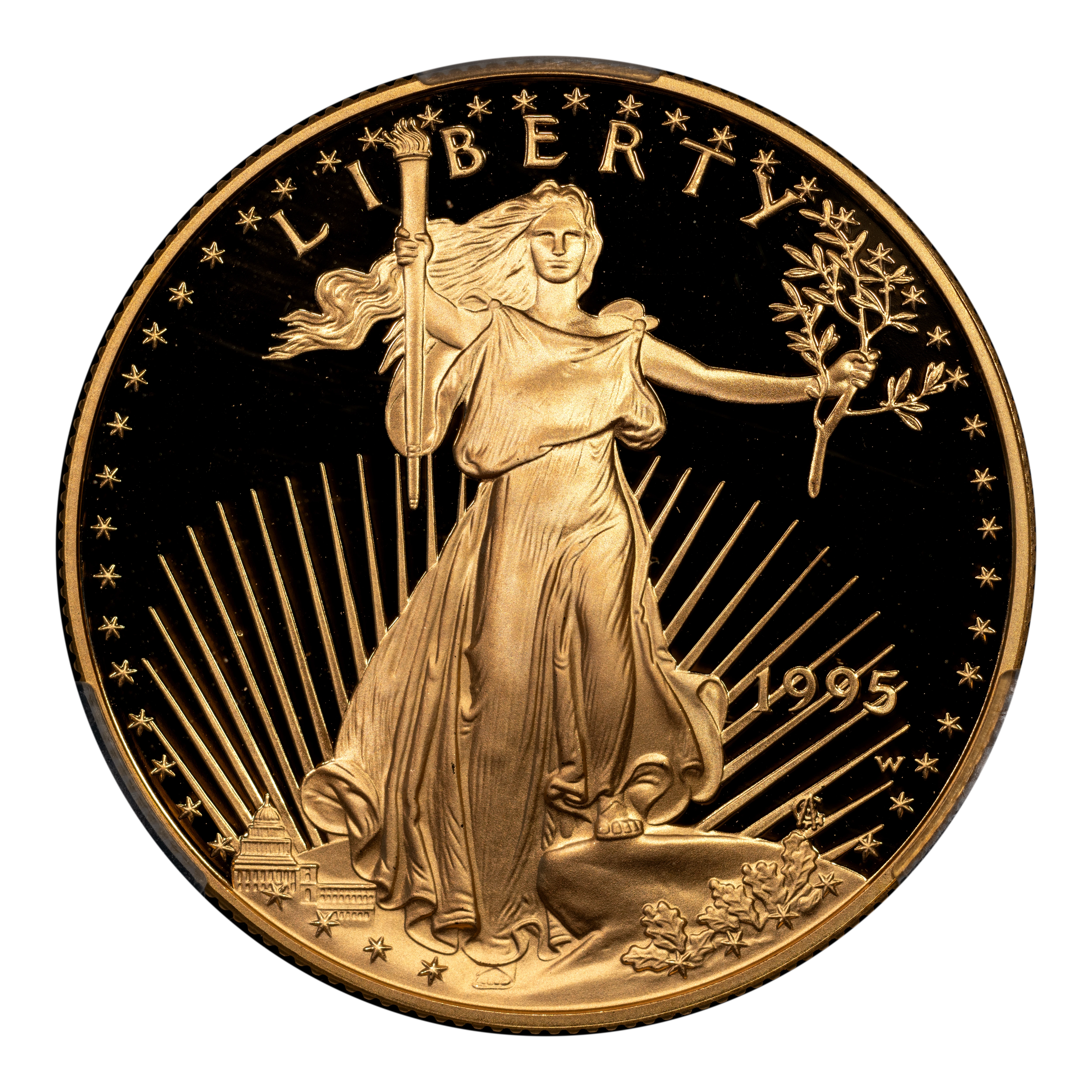 1995-W G$50 Gold Eagle PR DCAM