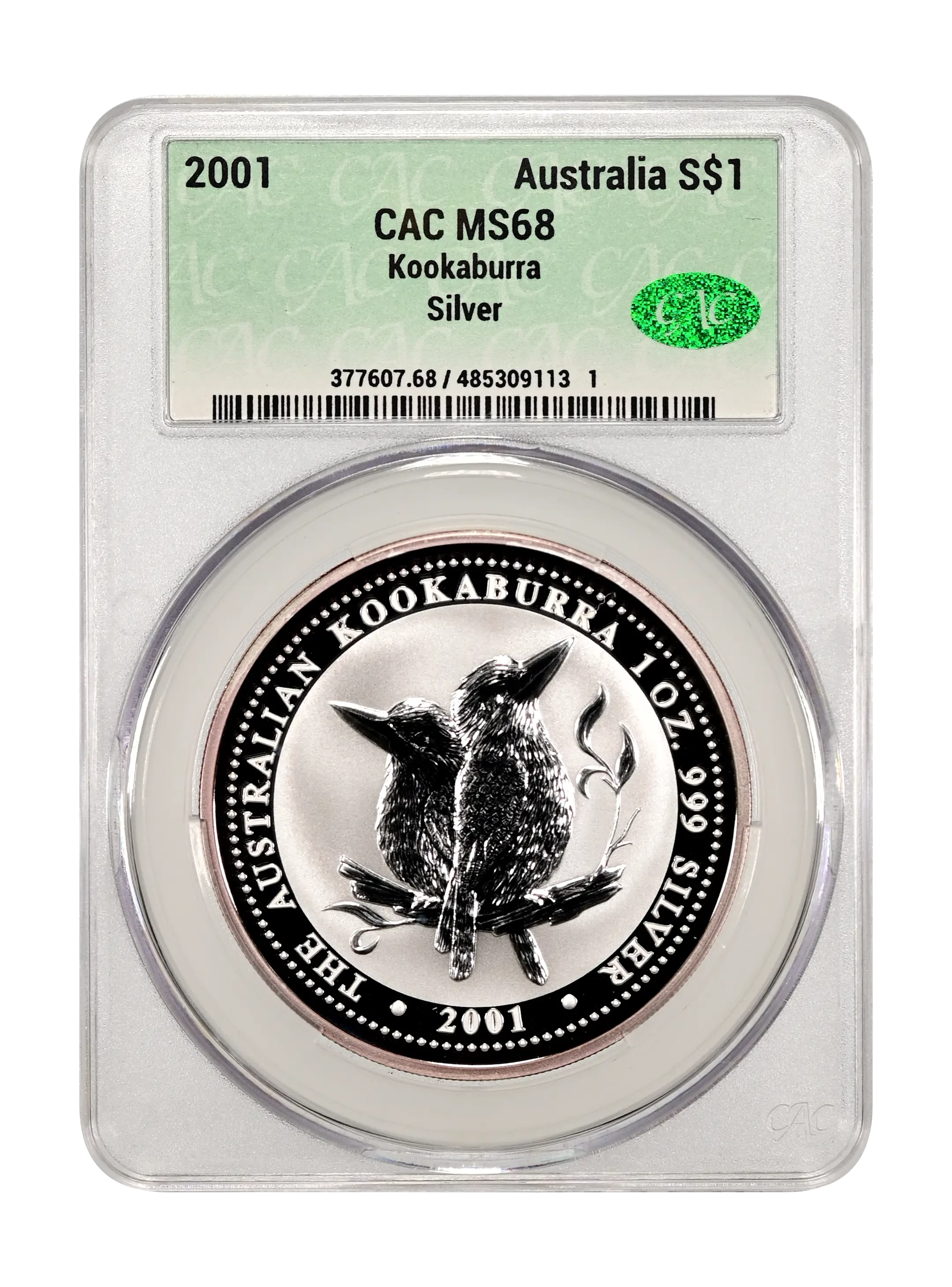 wqzfeql7kfbatyeamch4.webp?