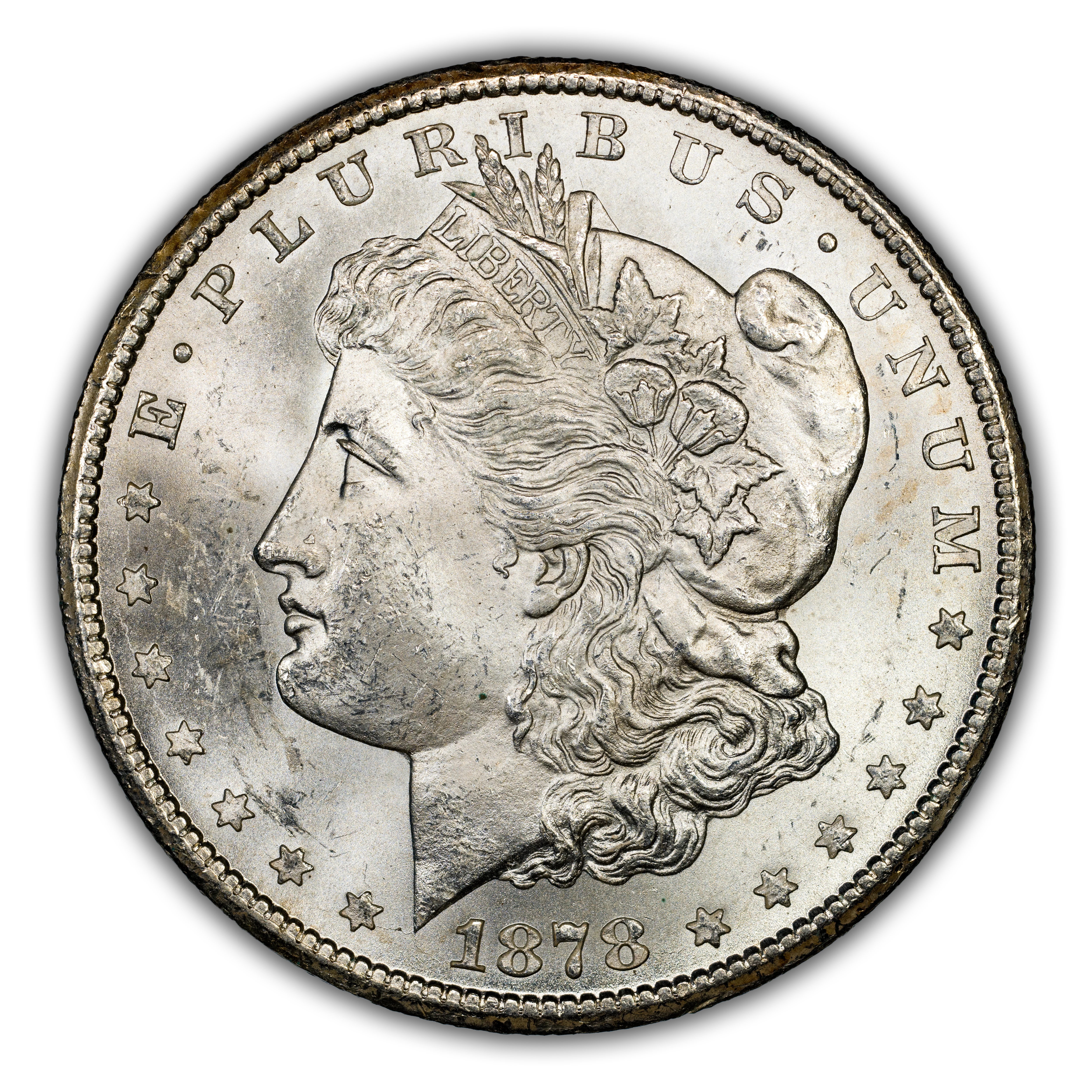 1878 CC Morgan Dollar Spiked Wheat Leaf VAM 2B Mint State (MS