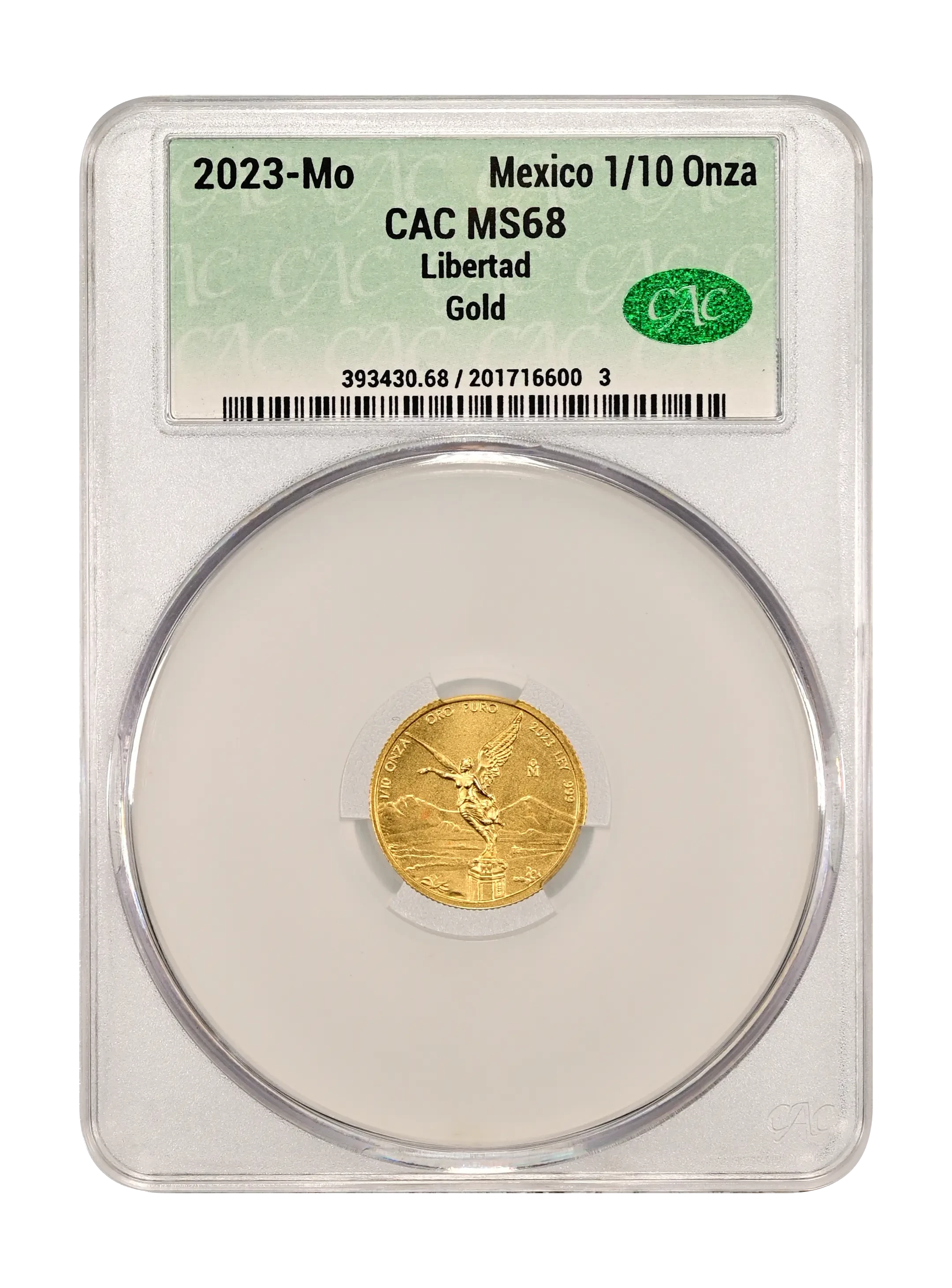 vyzzfkgwb0citu1pghro.webp?