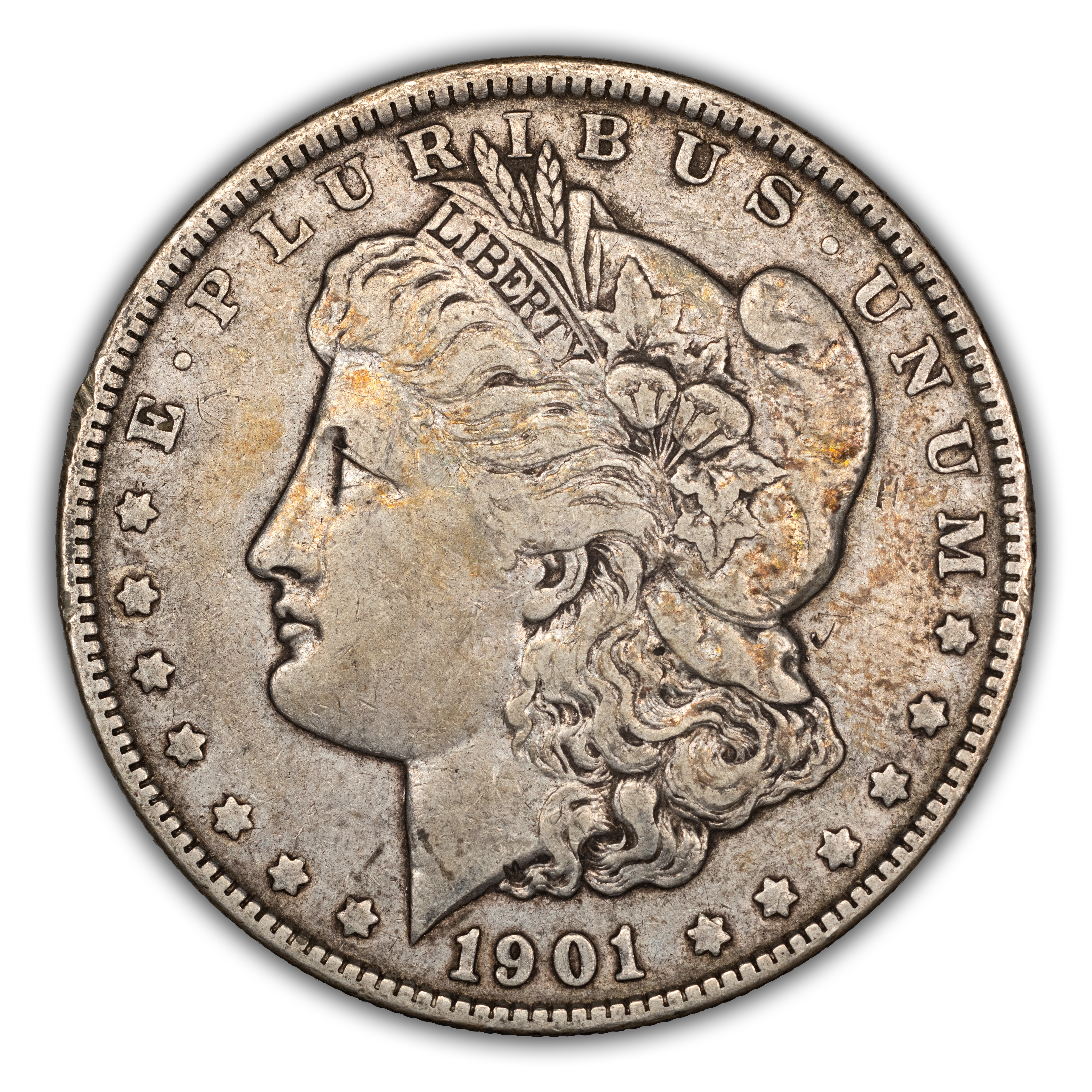 1901 Morgan Dollar DDR, Shifted Eagle VAM 3 Mint State (MS
