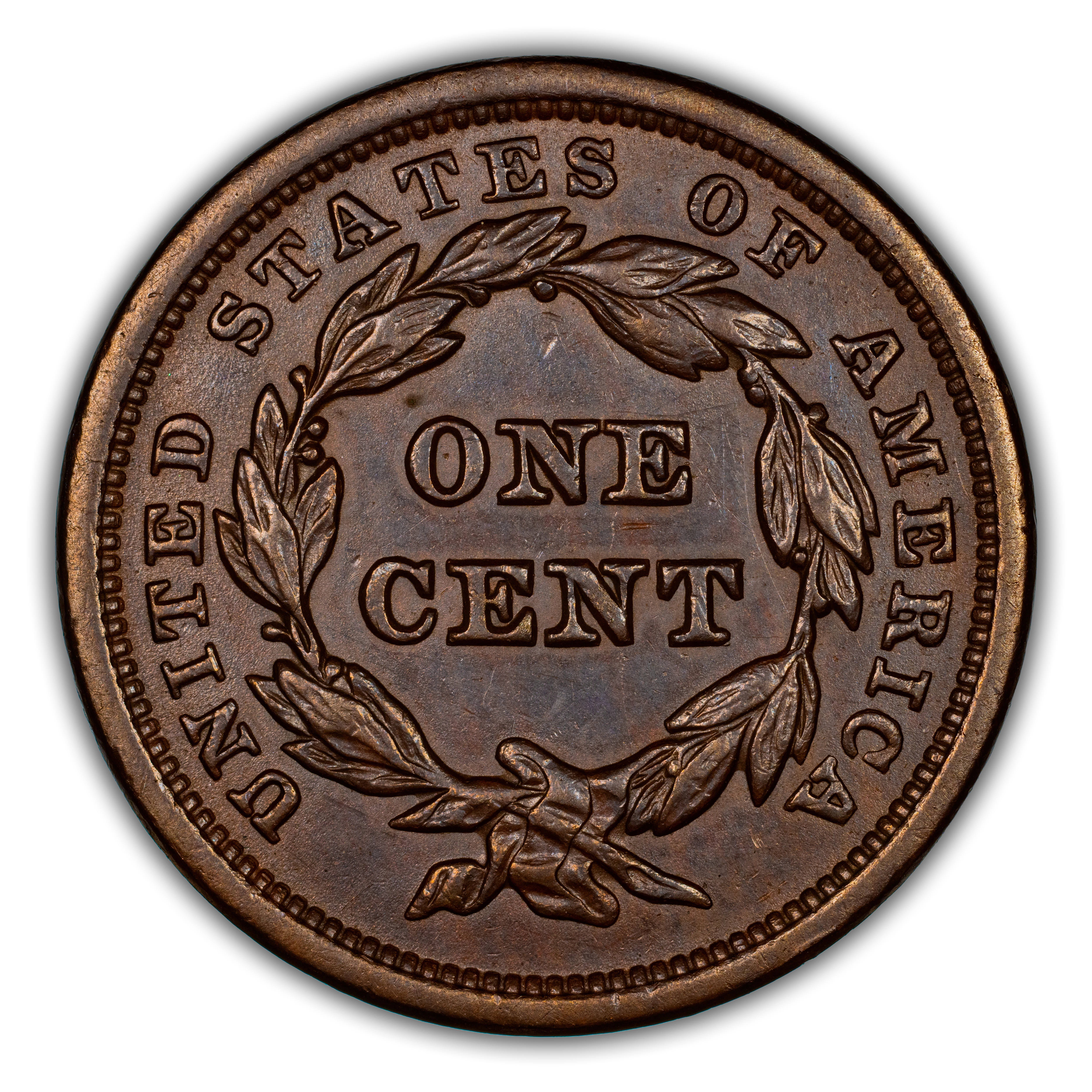 oi2ktbkvrpo65li2fvjo.webp?