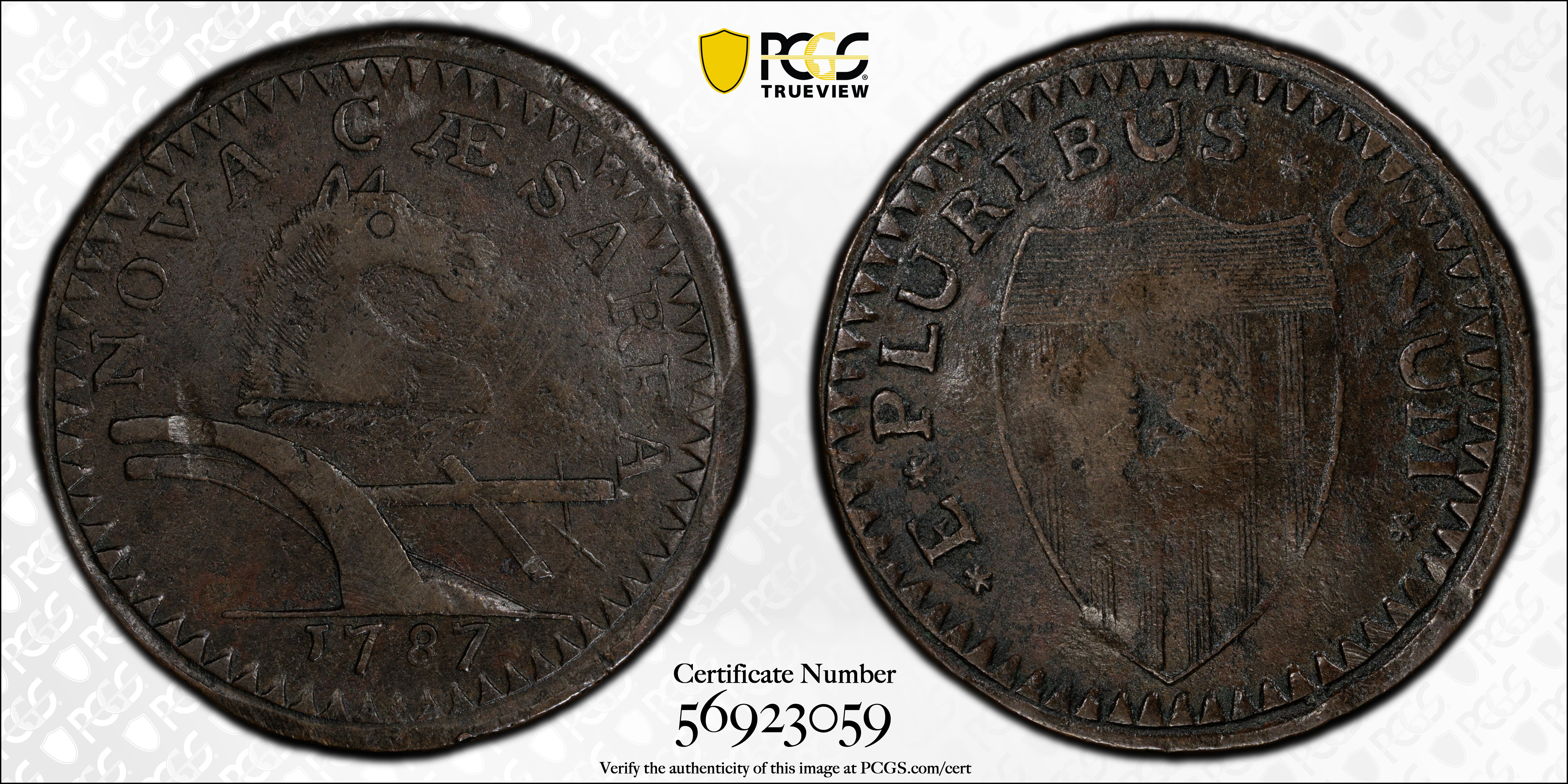 image for: 1787 New Jersey Copper. Maris 59-o, W-5325. Rarity-5+. No Sprig Above Plow, Sawtooth, Large Planchet. EF Details--Damage (PCGS).