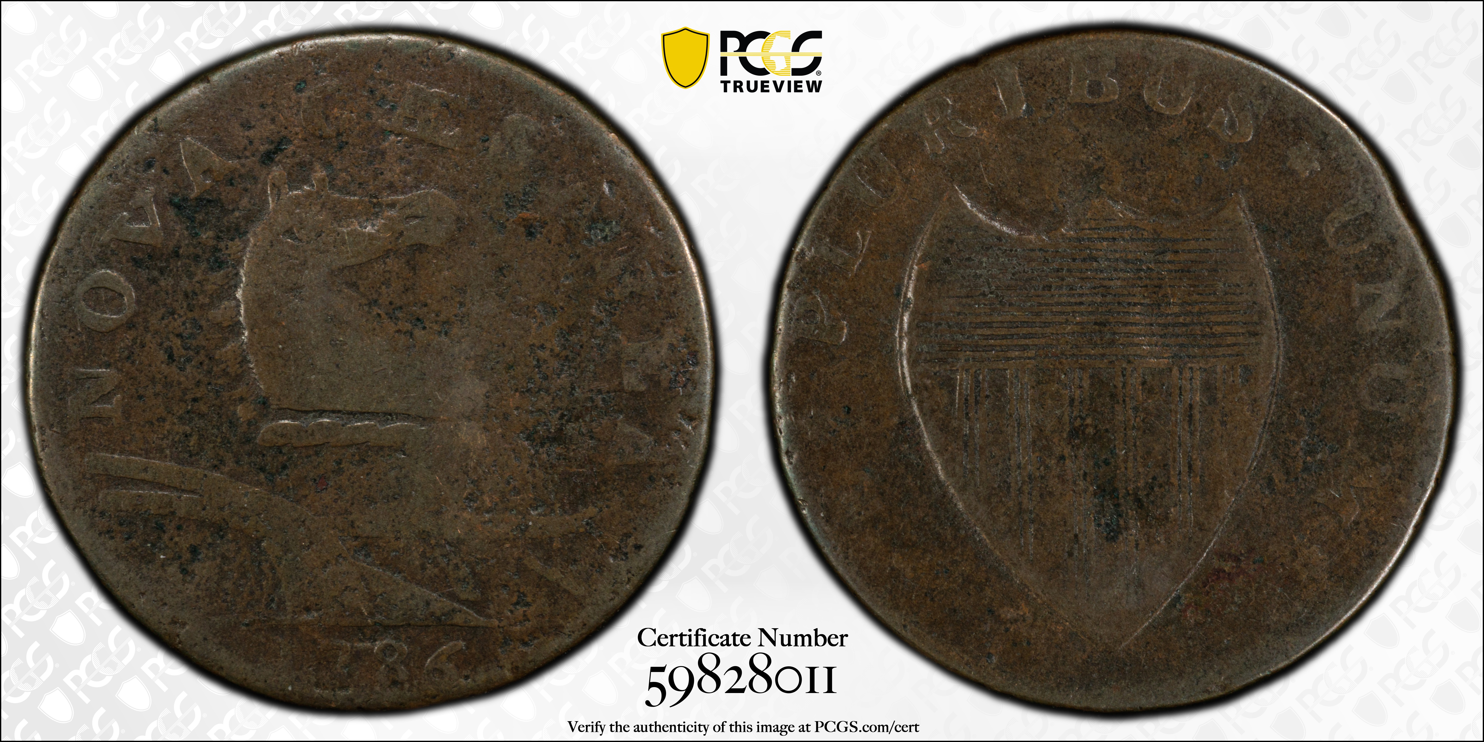 image for: 1786 New Jersey Copper. Maris 25-S, W-4980. Rarity-5. Straight Plow Beam, Eye in Neck. VG Details--Damage (PCGS).