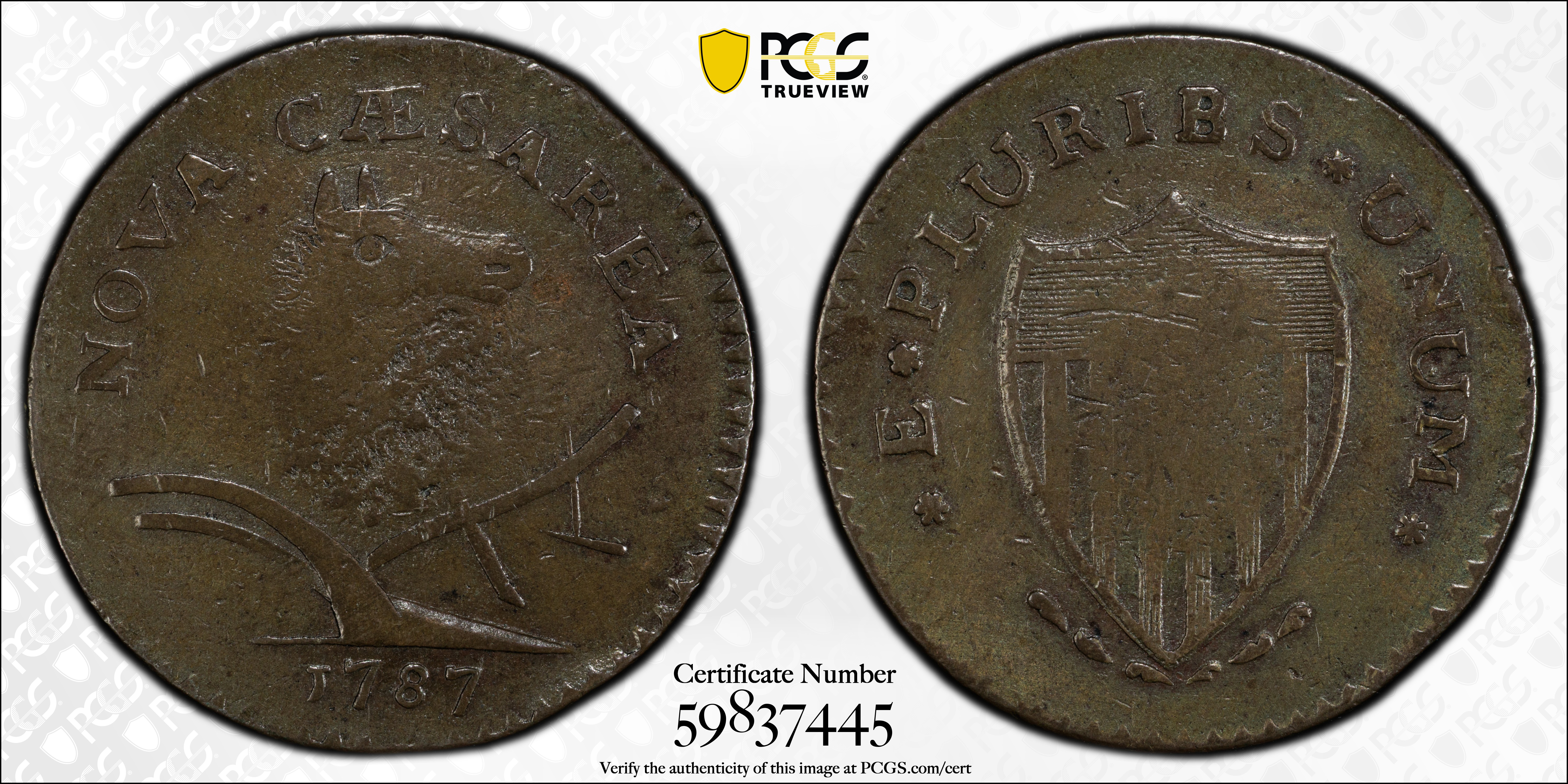 image for: 1787 New Jersey Copper. Maris 60-p, W-5340. Rarity-4. Sprig Above Plow, PLURIBS. Large Planchet. VF Details--Harshly Cleaned (PCGS).