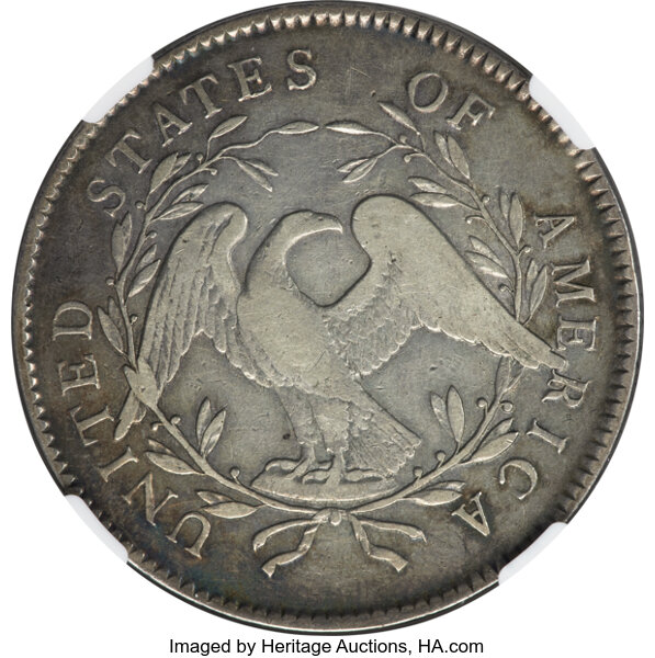 image for: 1795 Flowing Hair, 2 Leaves, B-1, BB-21 $1  NGC VF25