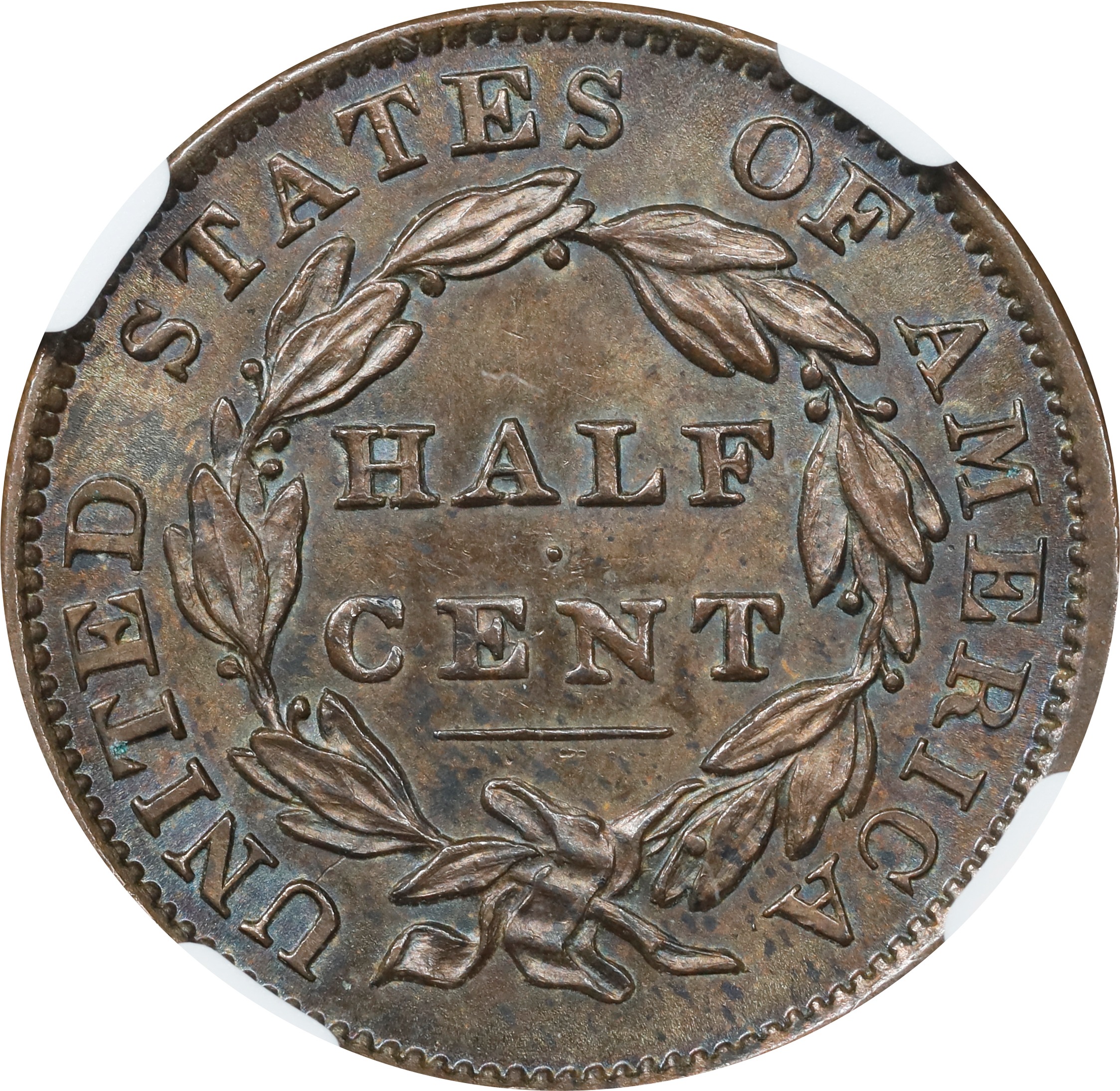 image for: 1834 Classic Head Half Cent. C-1. Rarity-1. MS-64 BN (NGC).
