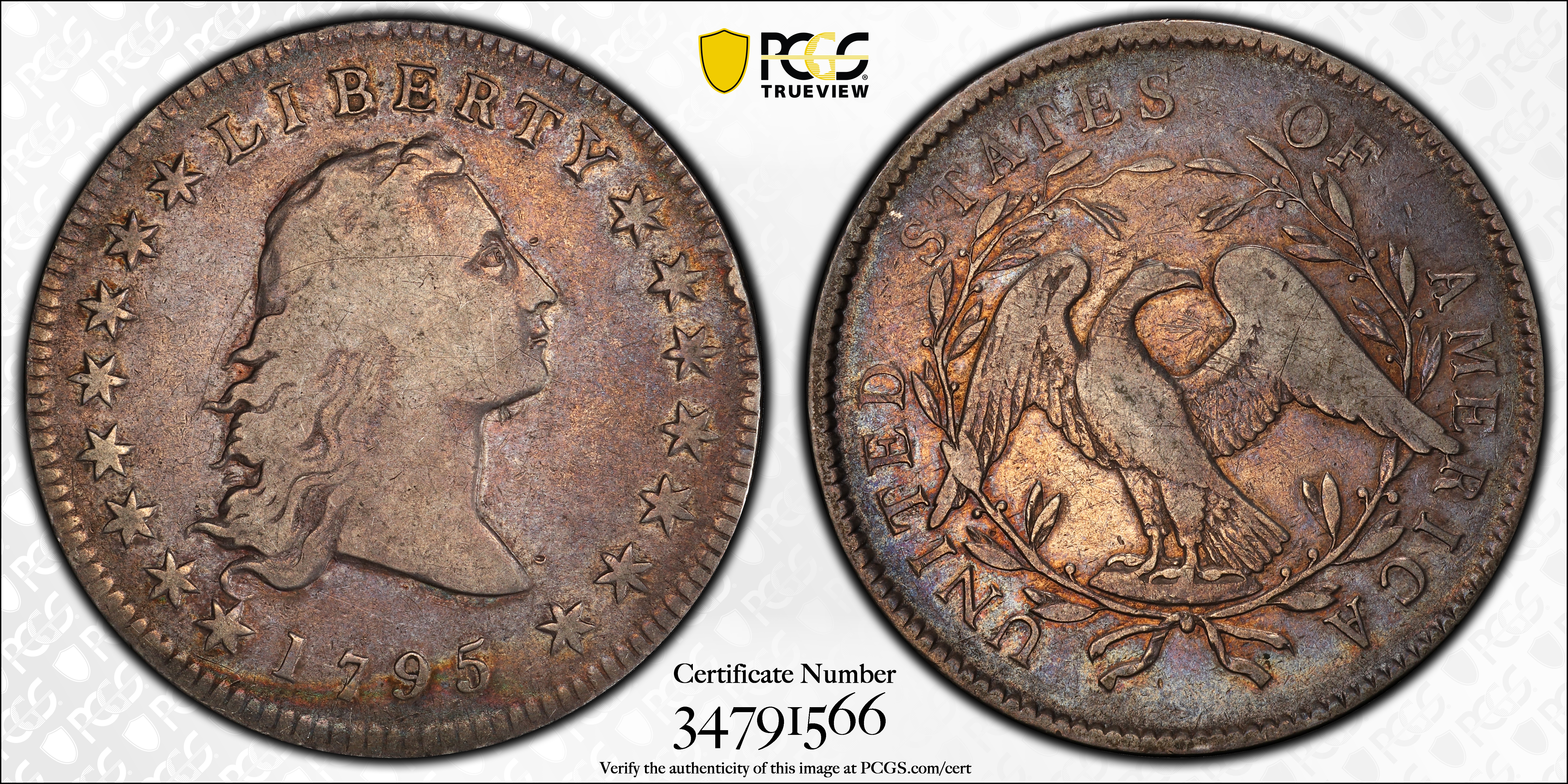 image for: 1795 Flowing Hair Silver Dollar. BB-21, B-1. Rarity-2. Two Leaves. VF-25 (PCGS). CAC. CMQ.