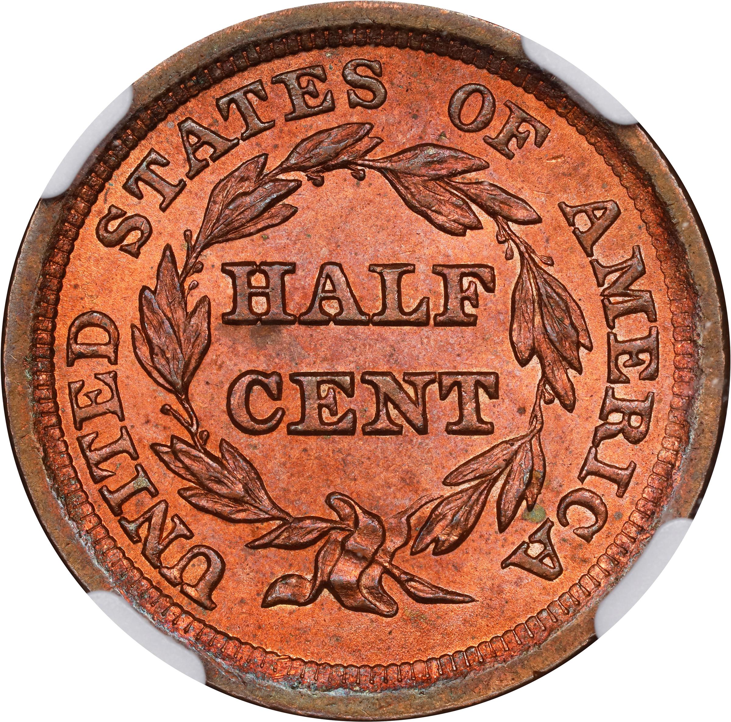 image for: 1855 Braided Hair Half Cent. C-1. Rarity-1. MS-65+ RD (NGC).